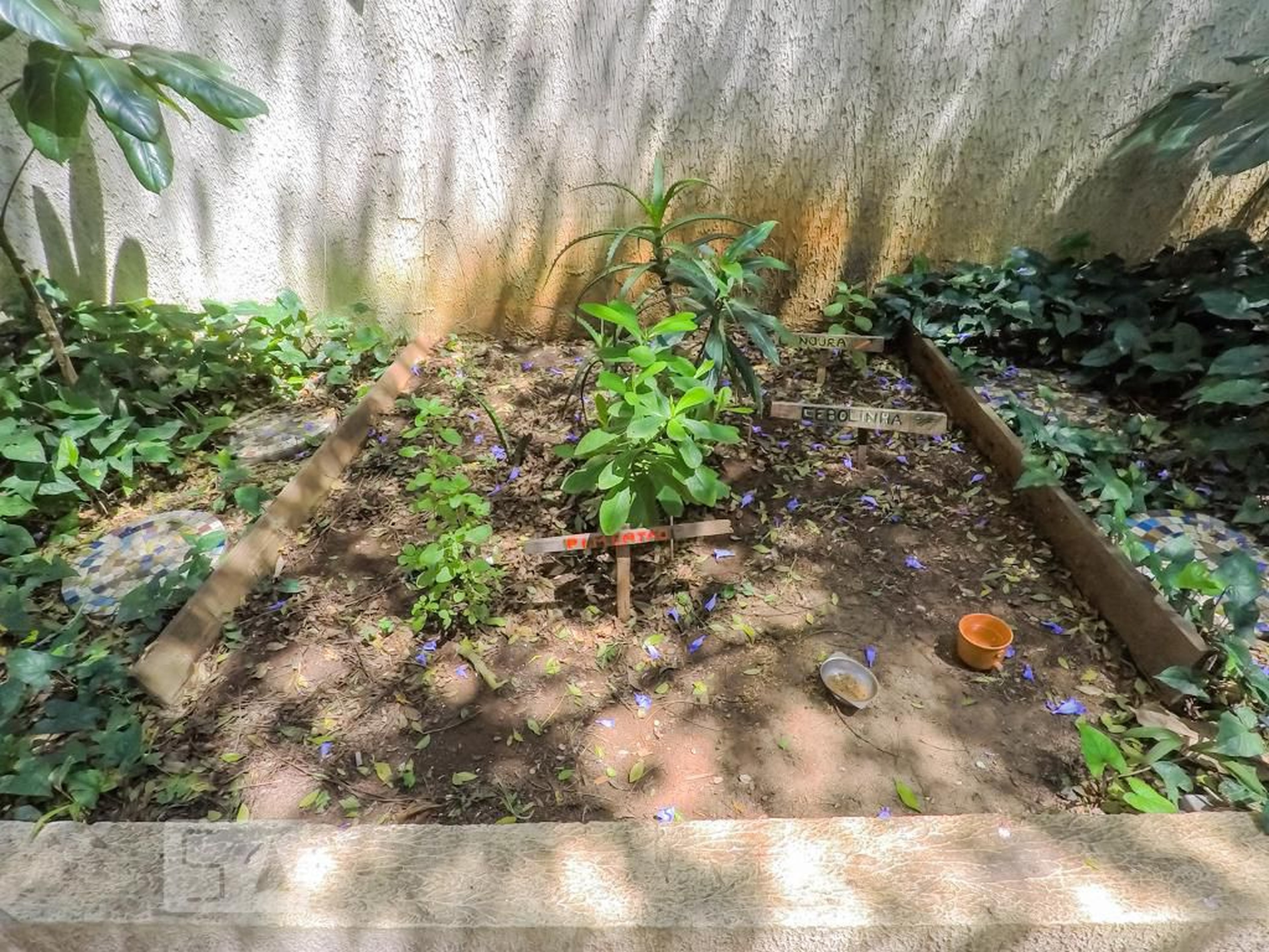 Área Externa - Edifício Beatriz