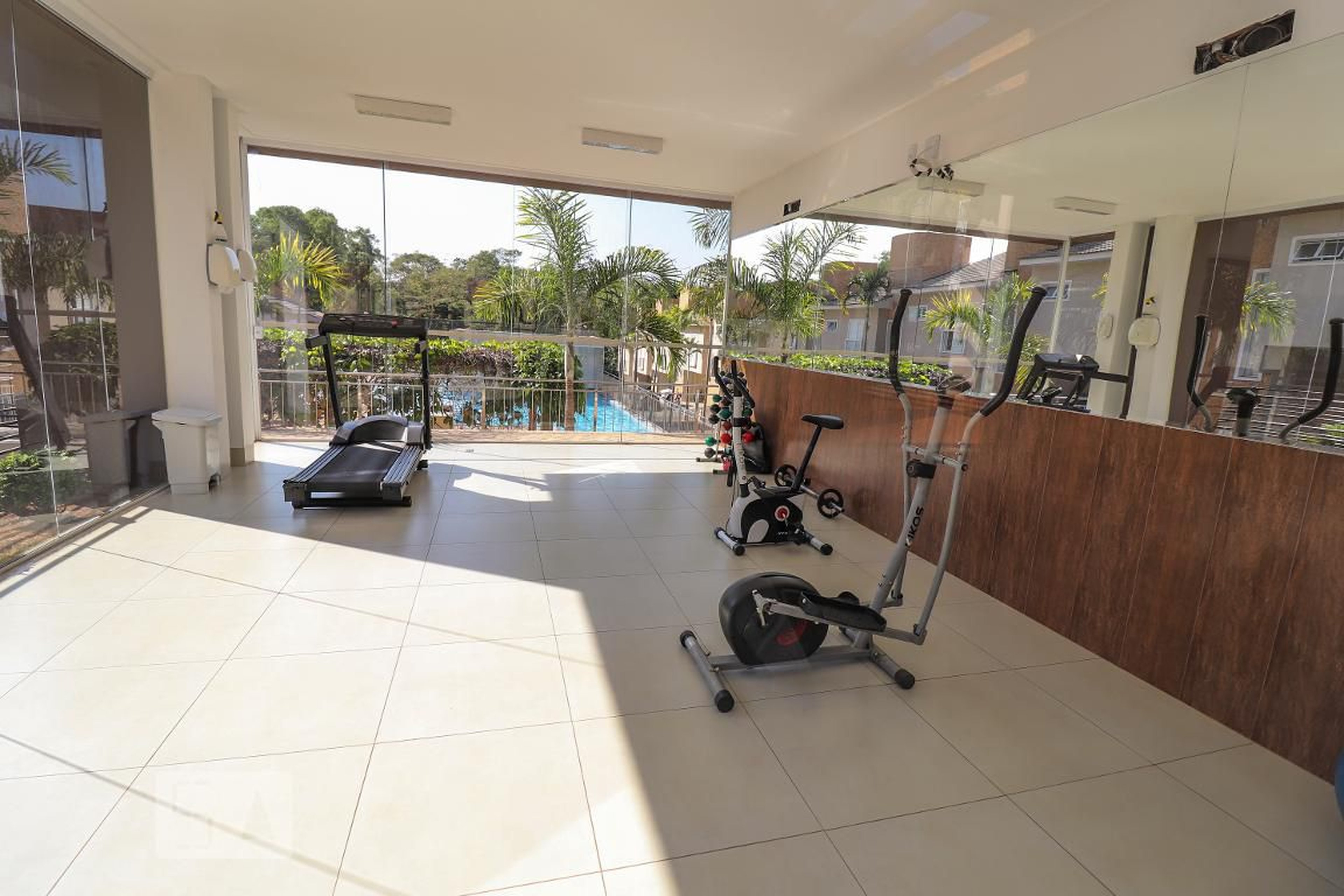 Academia - Ilhas de Alegranza