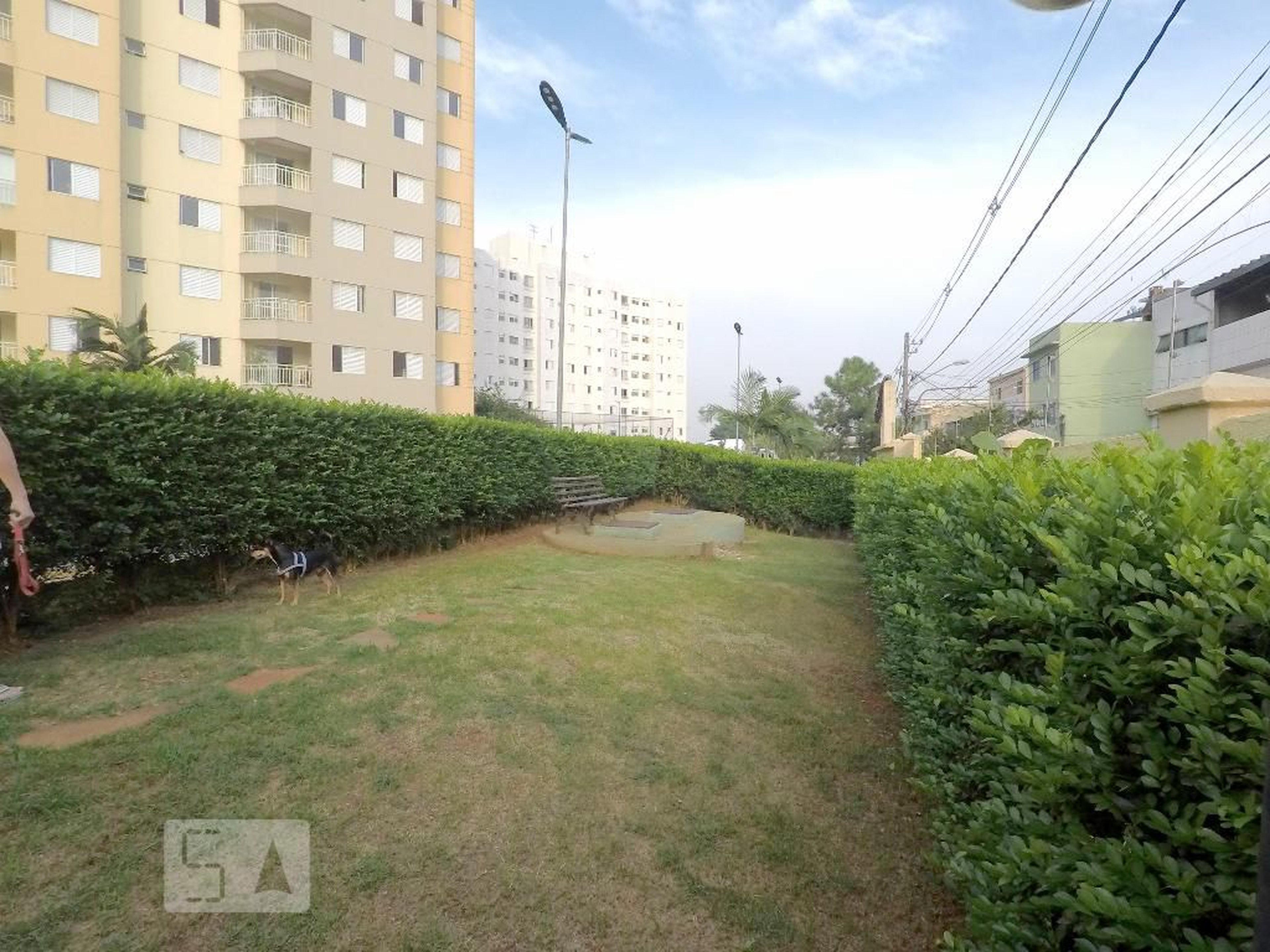 Espaco PET - Start Life