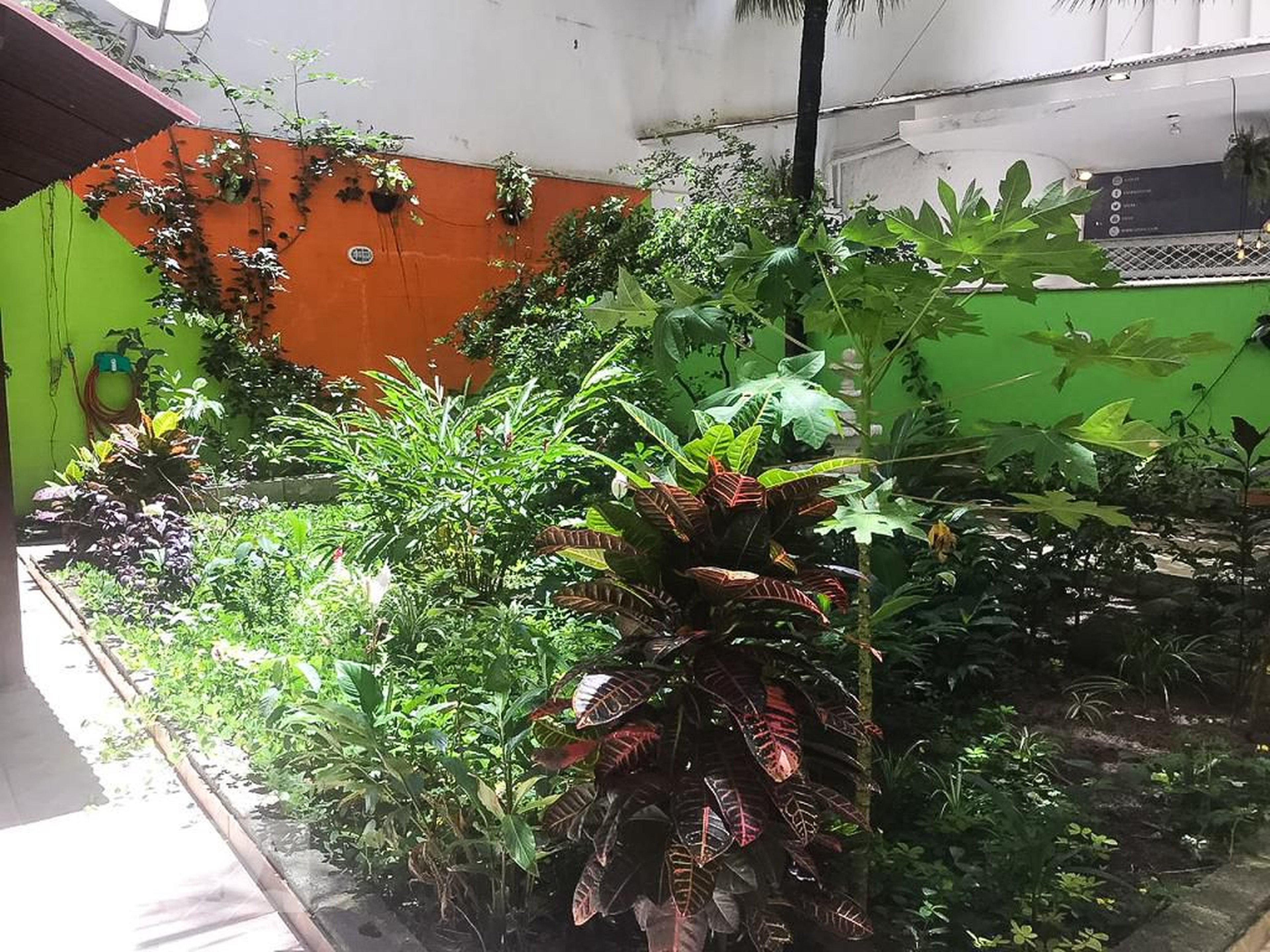 Condomínio - Edifício Araruna