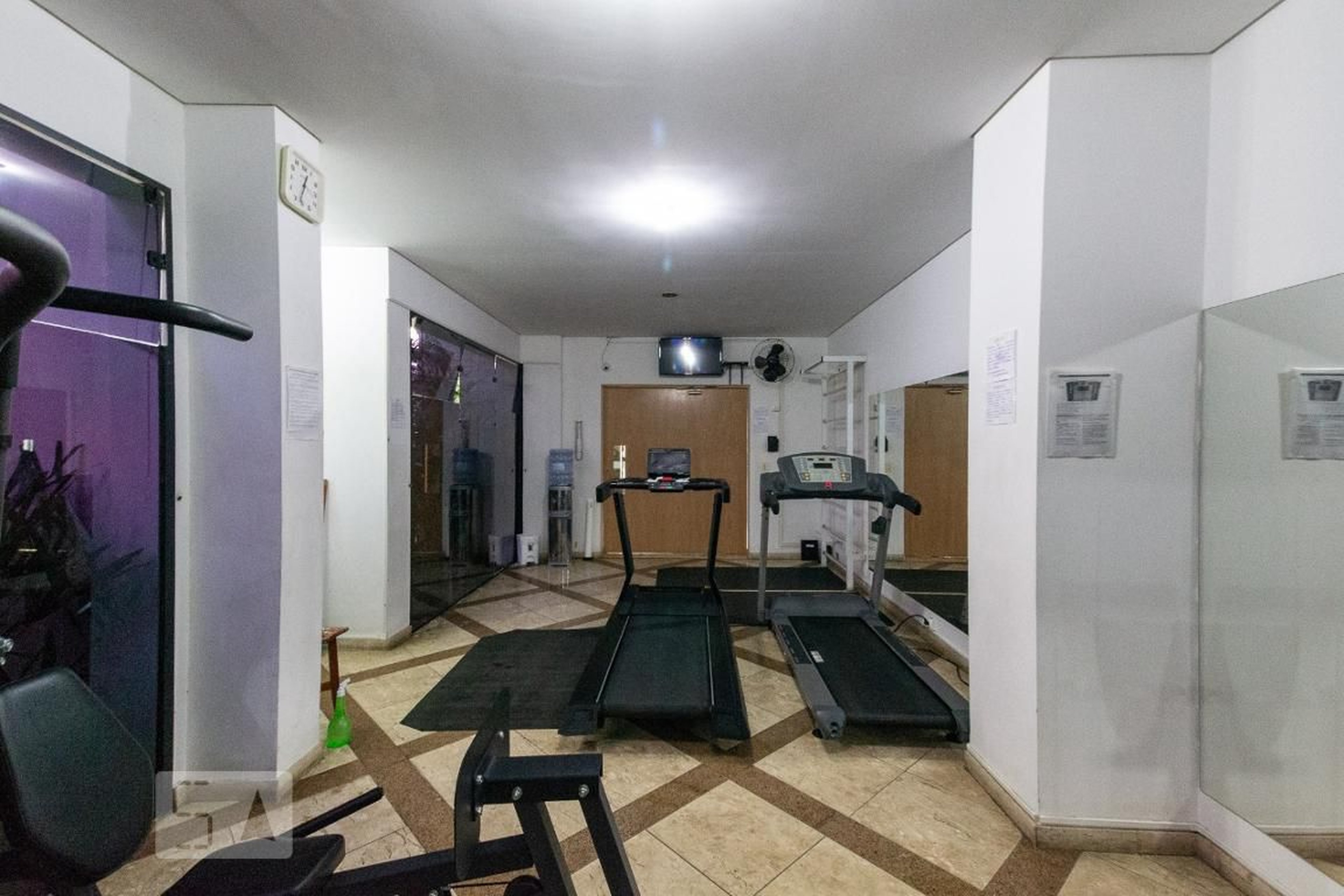 Academia - Green Garden