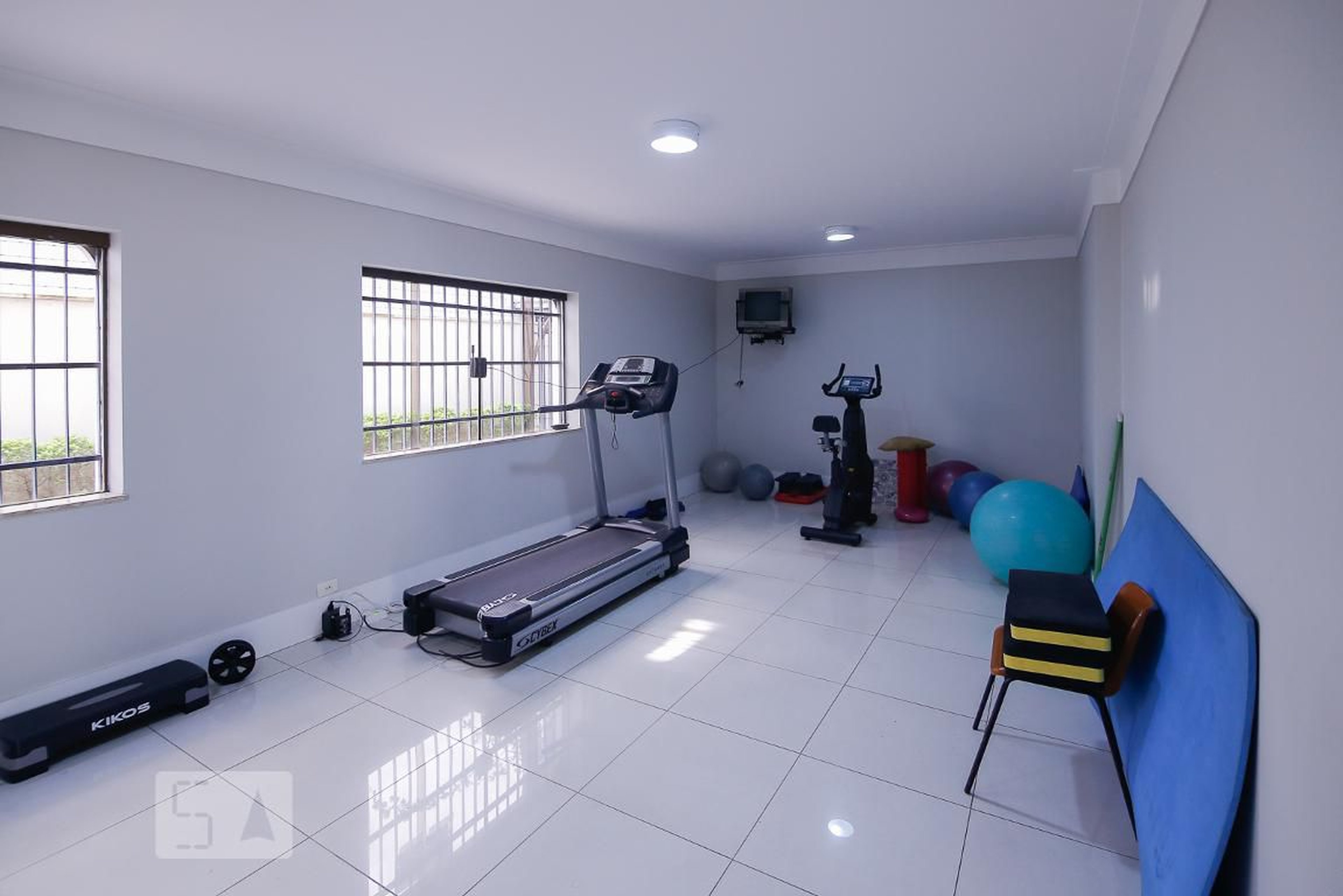 Academia - Samambaia