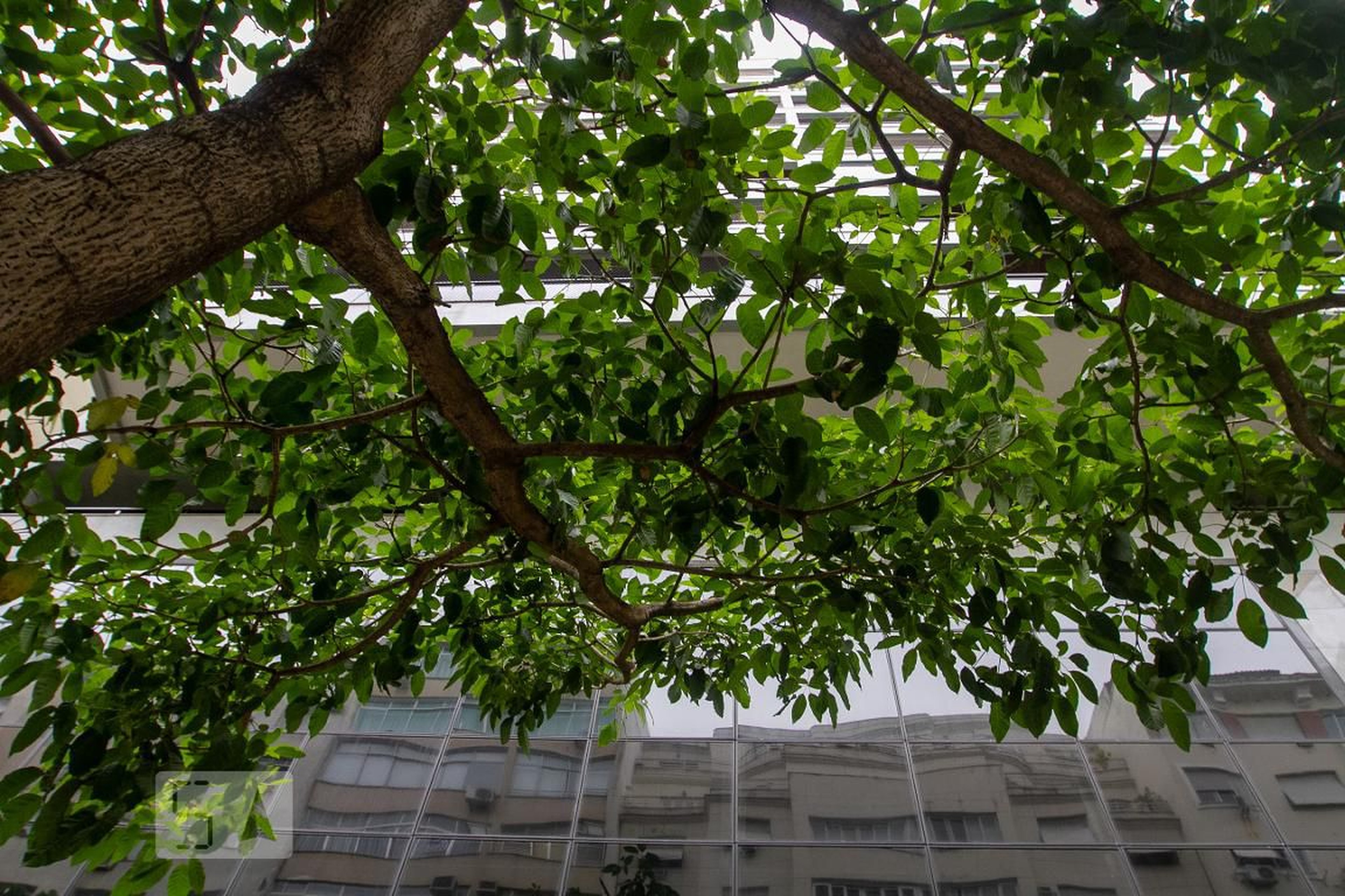 Fachada do Prédio Edifício Copacabana Place