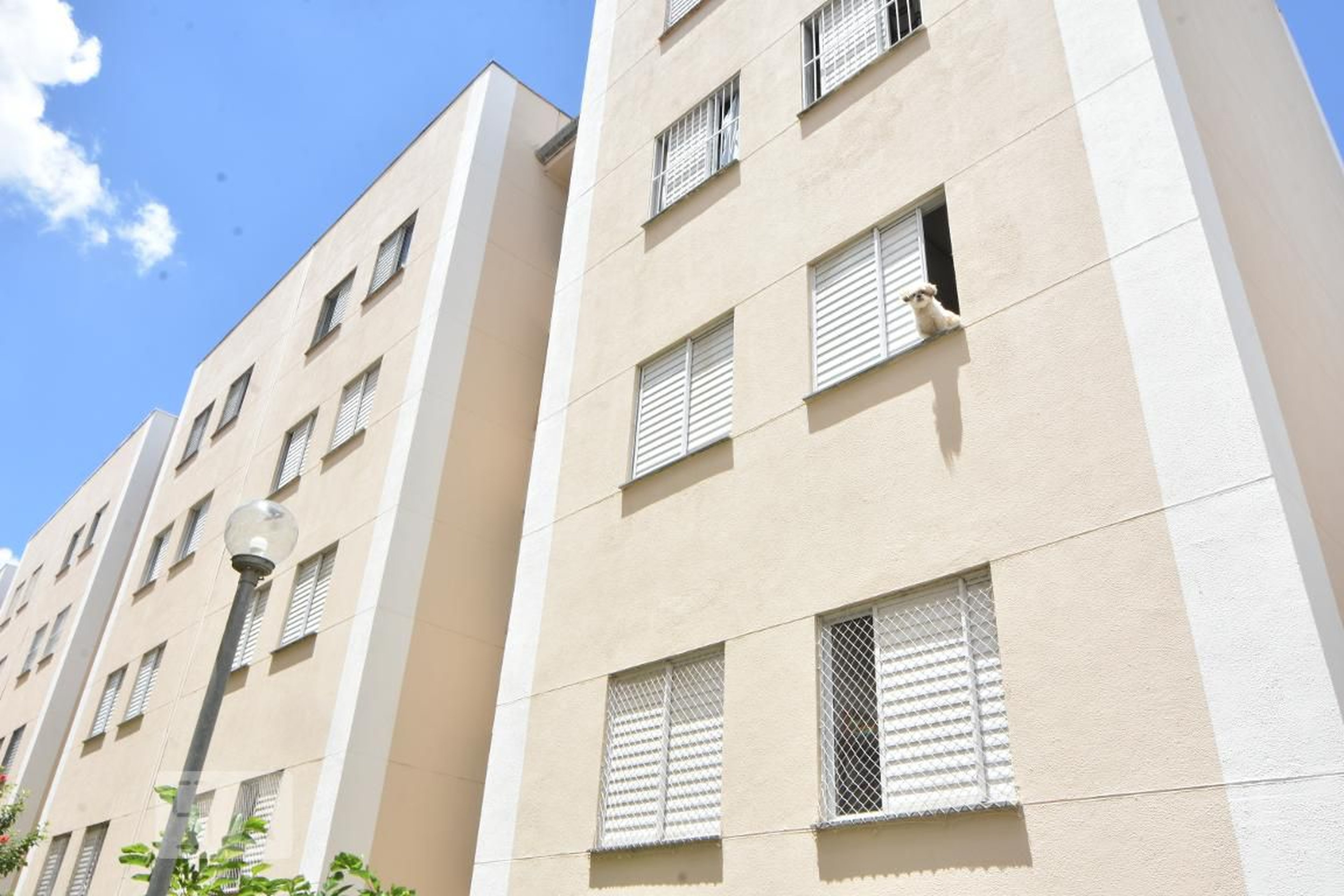 Prédio Condomínio Construções | Módulo