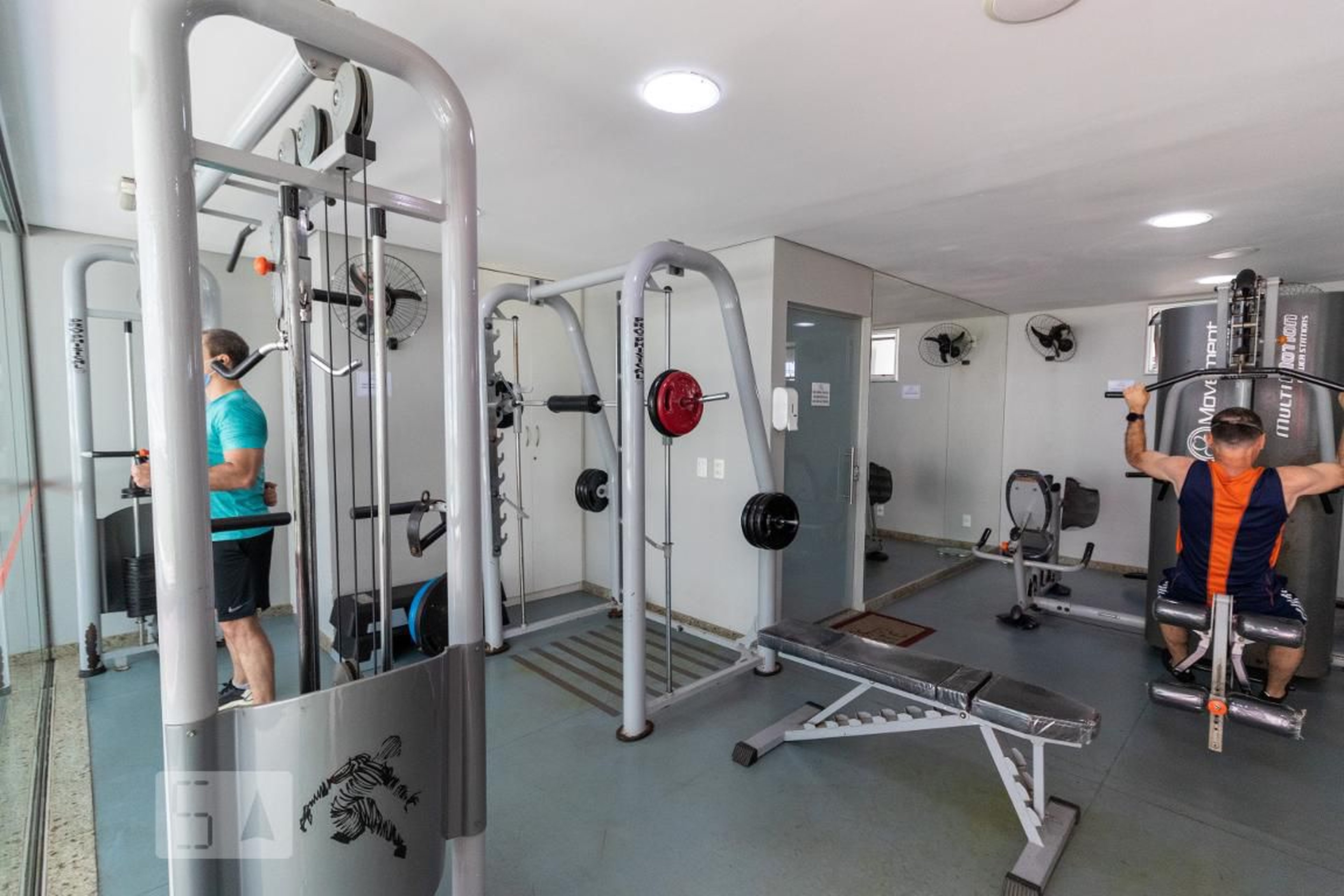 Academia - Liberté Antares