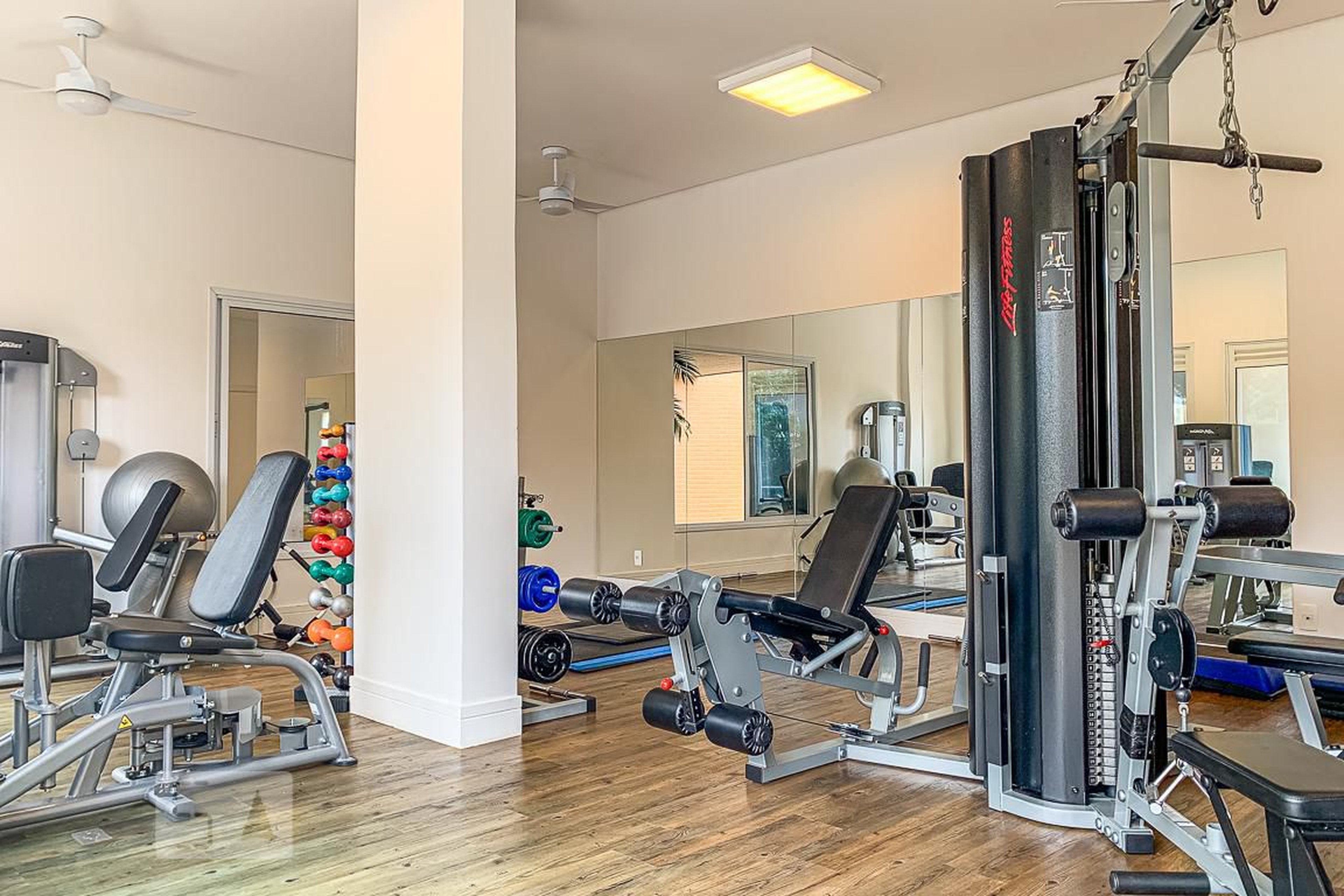 Academia - Bella Vita