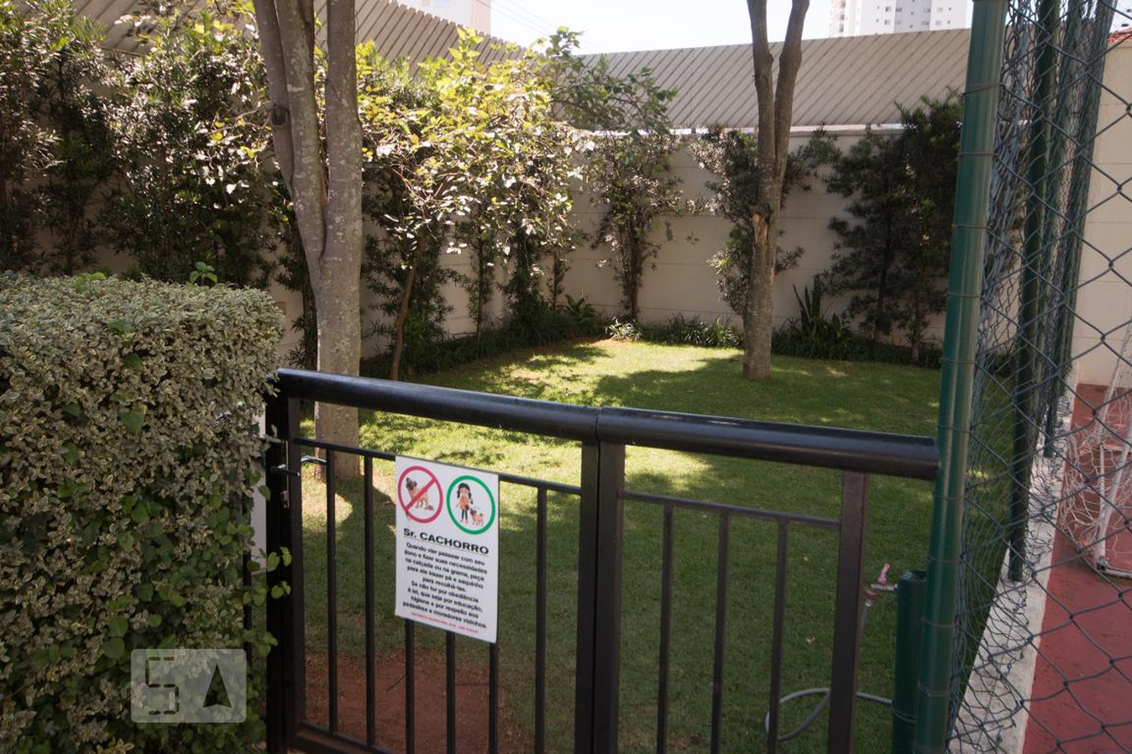 Espaço pet - Prelúdio Vila Mascote