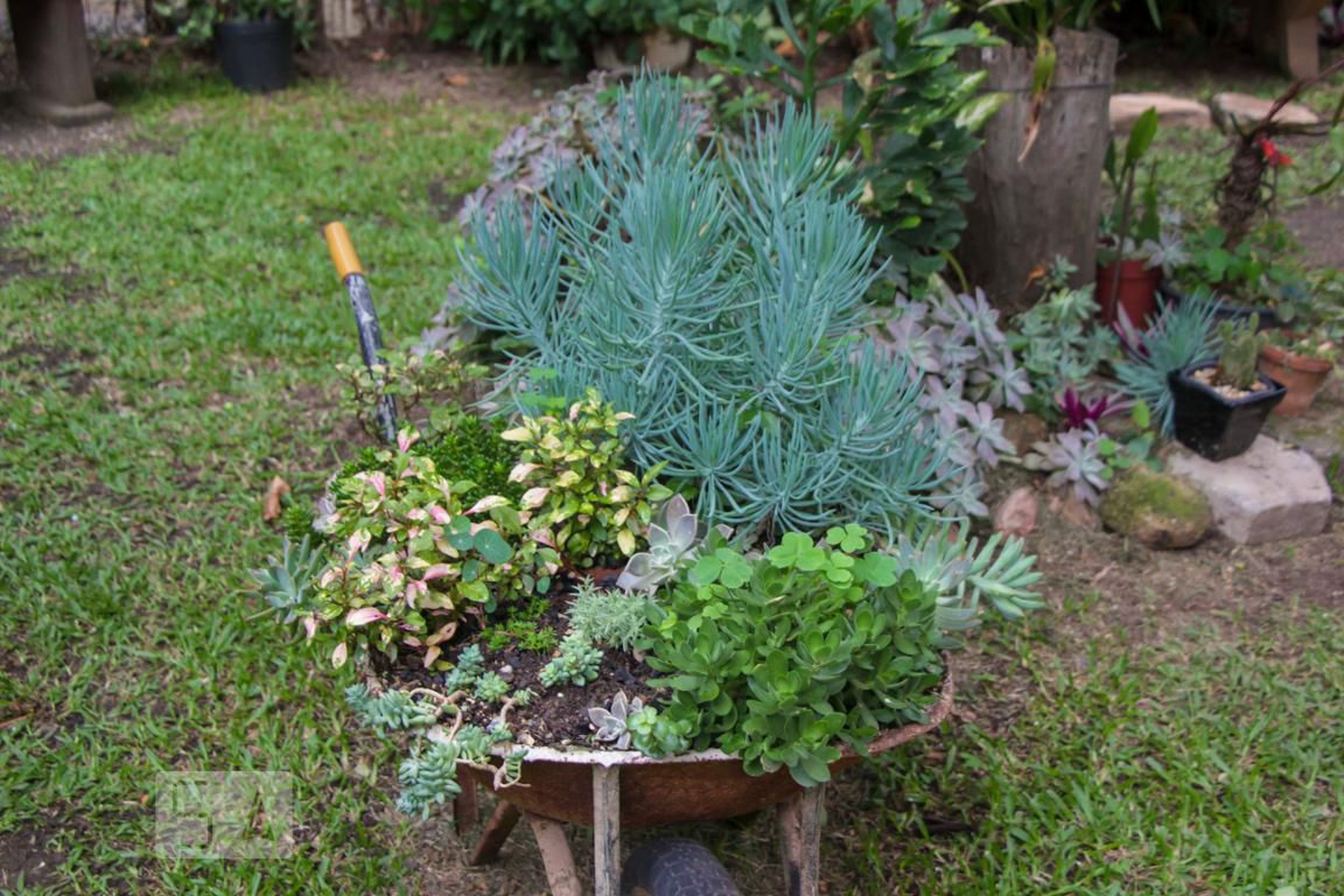 Área comum - Itacorubi II