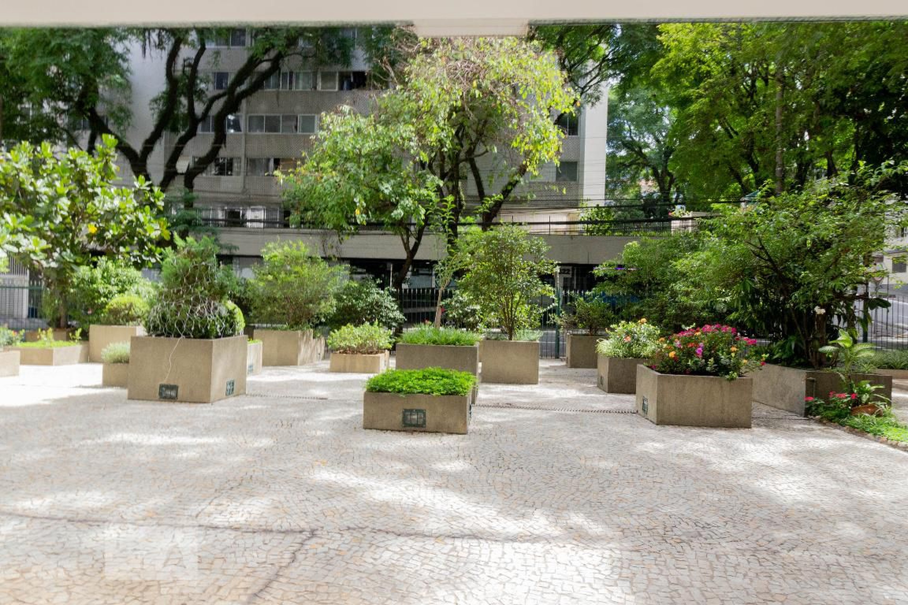 Área Externa - king Alexander