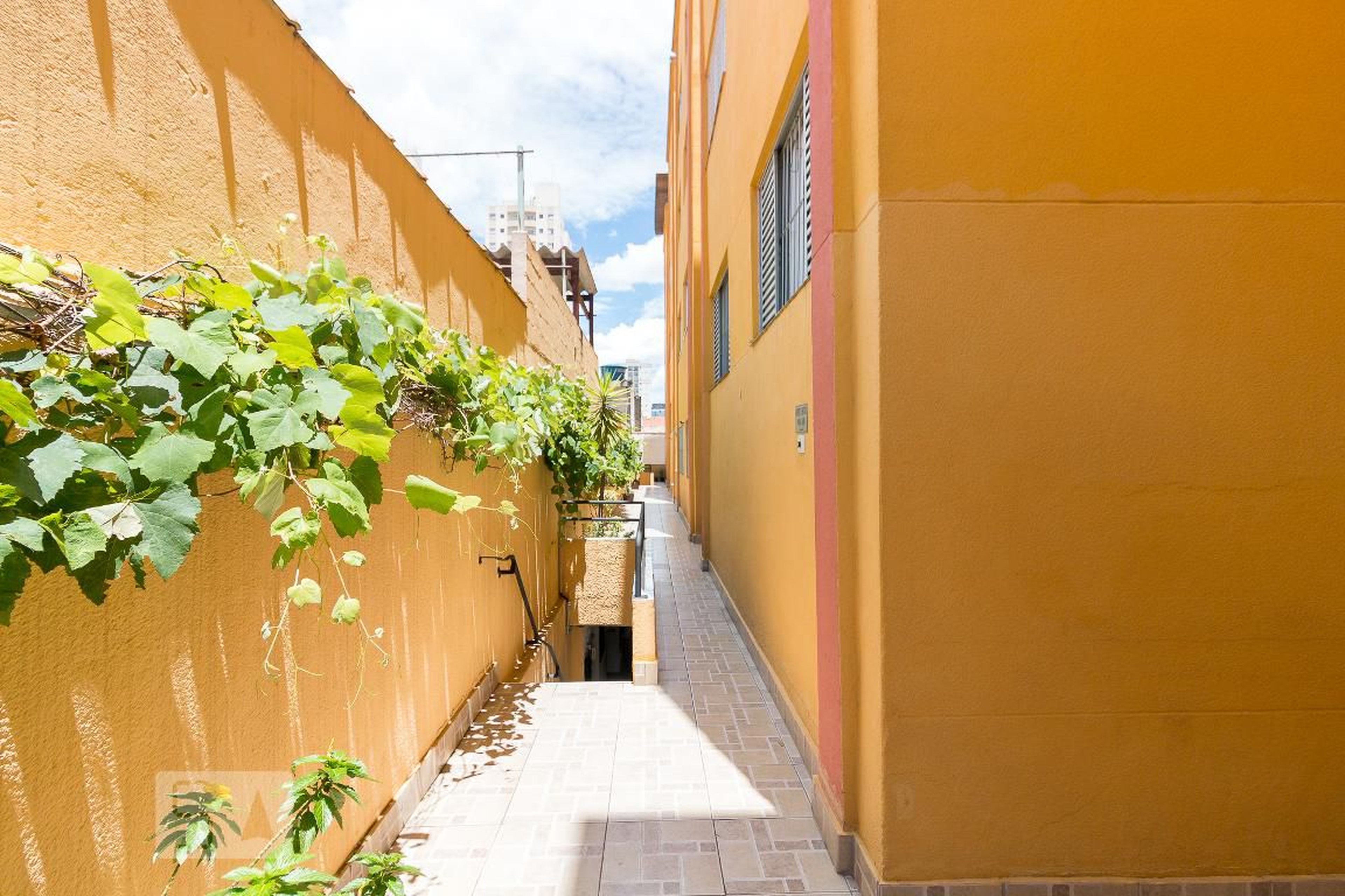 Área comum - Jardim Primavera