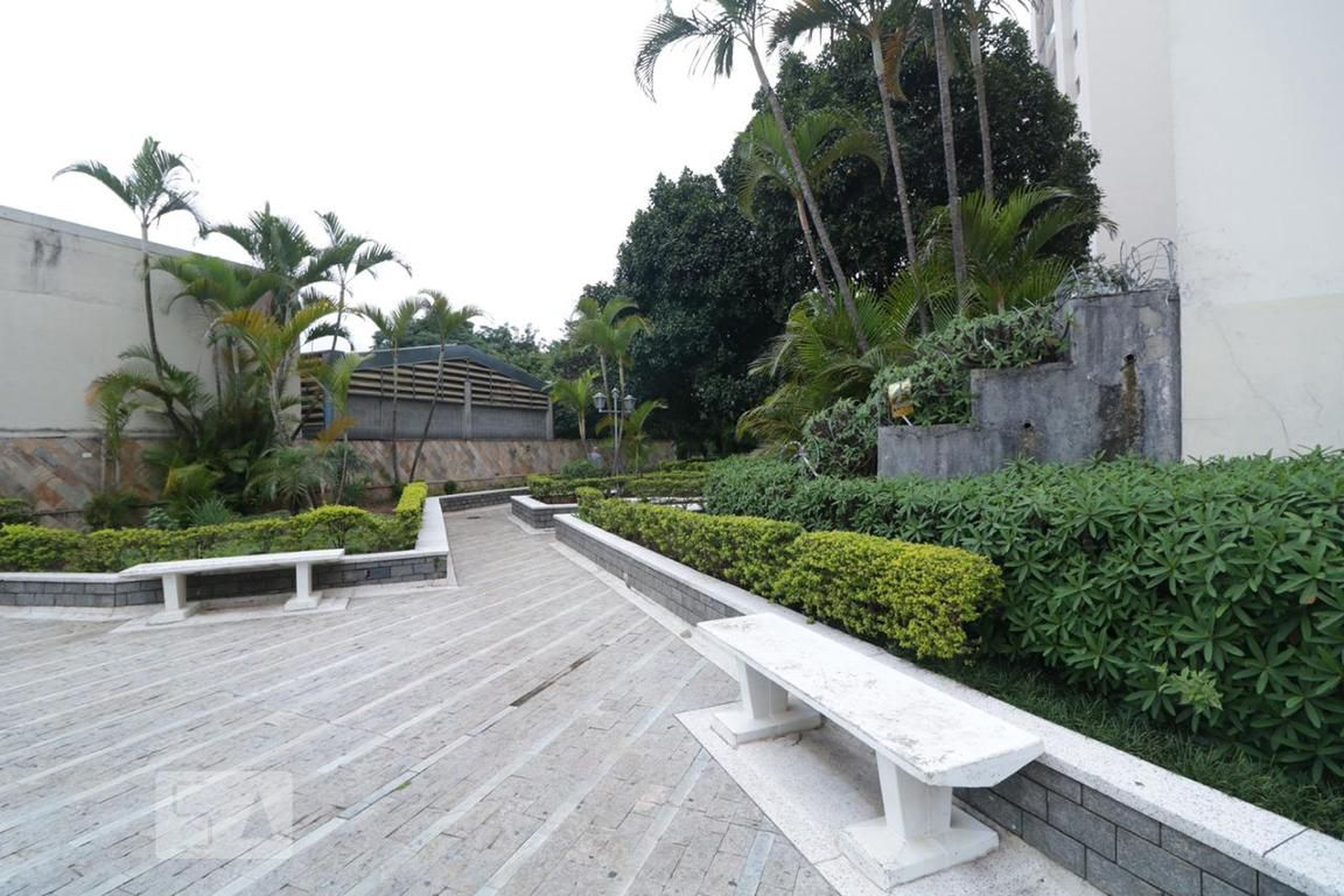 area comum - Parque Thomaz Saraiva