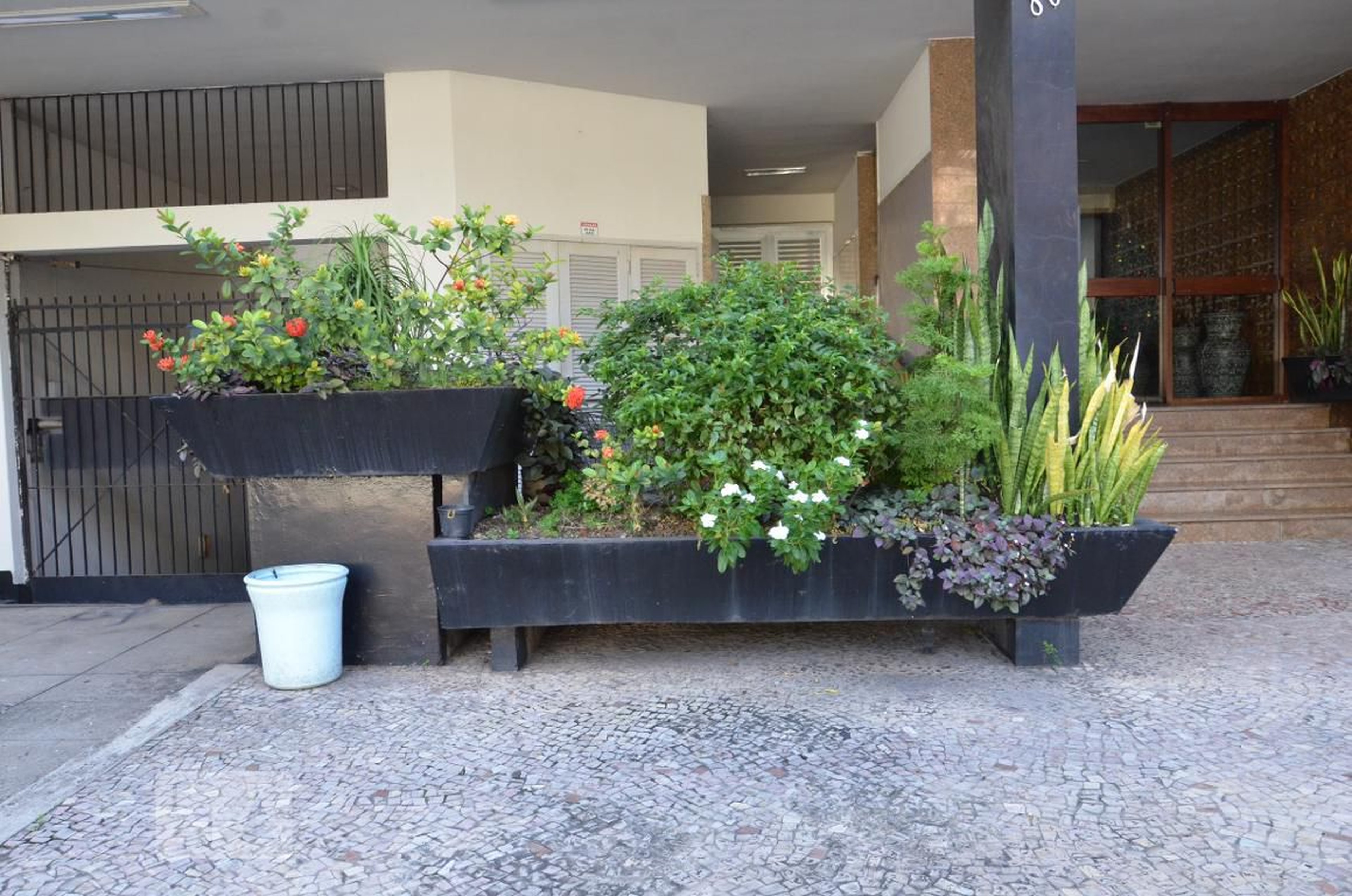 Entrada - Cachambi, 80