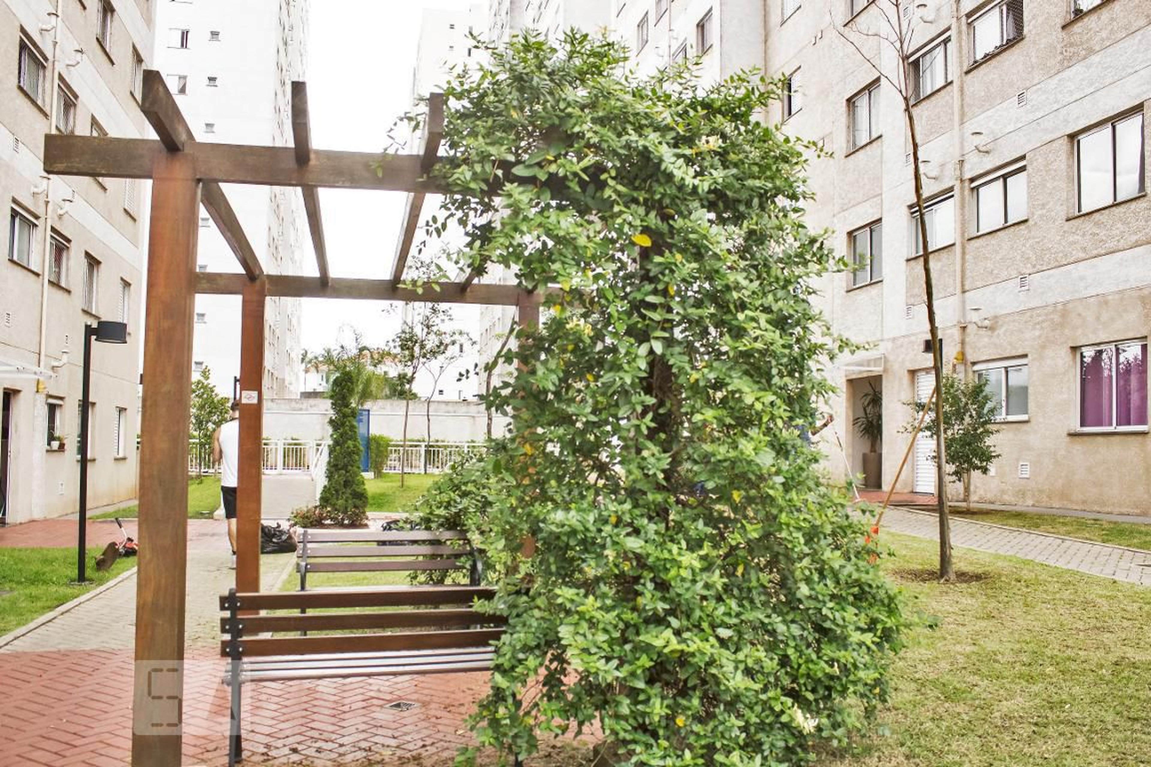 Área Externa - Paulista - IN SP