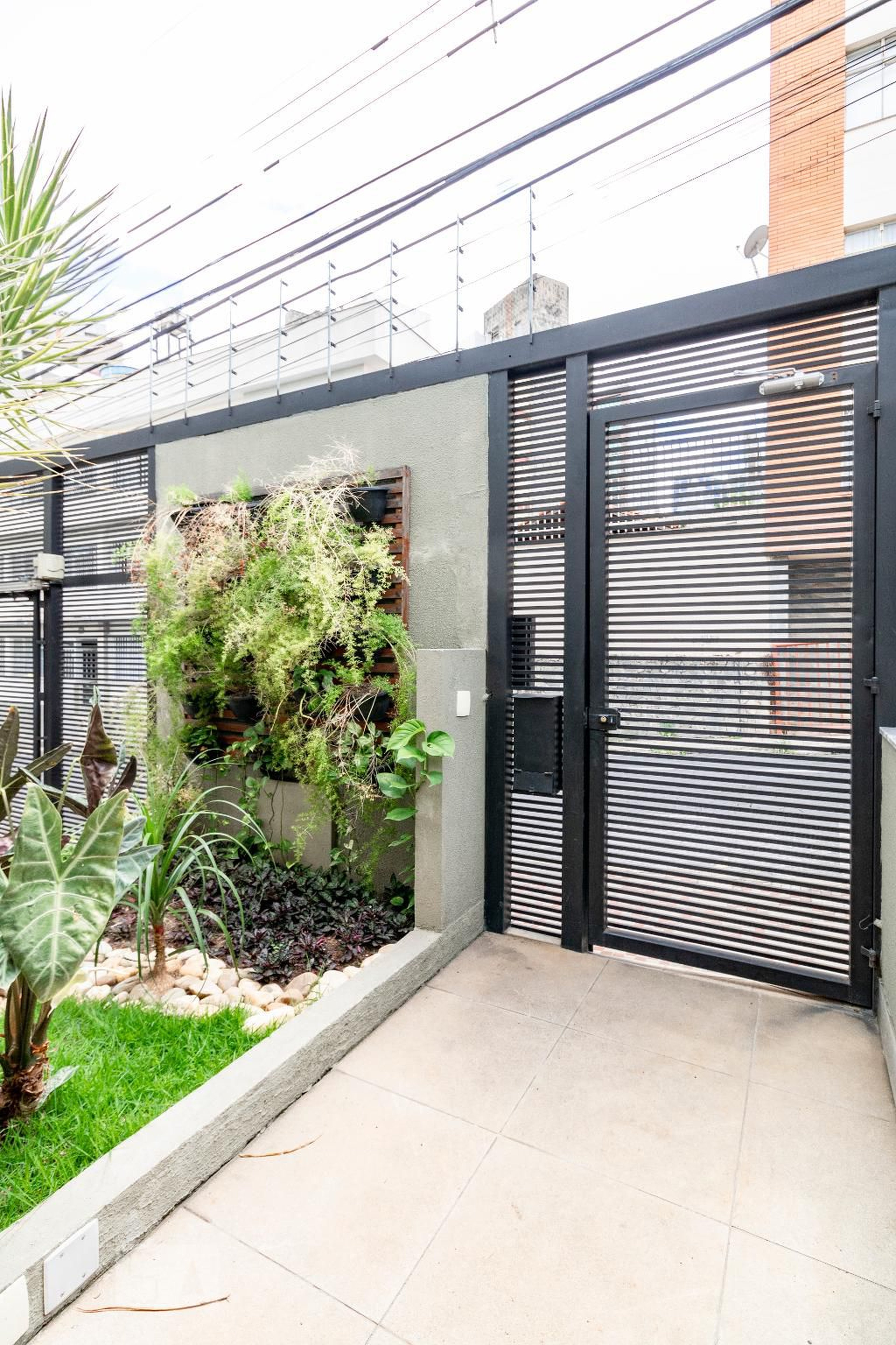 Entrada - Jose Ribeiro