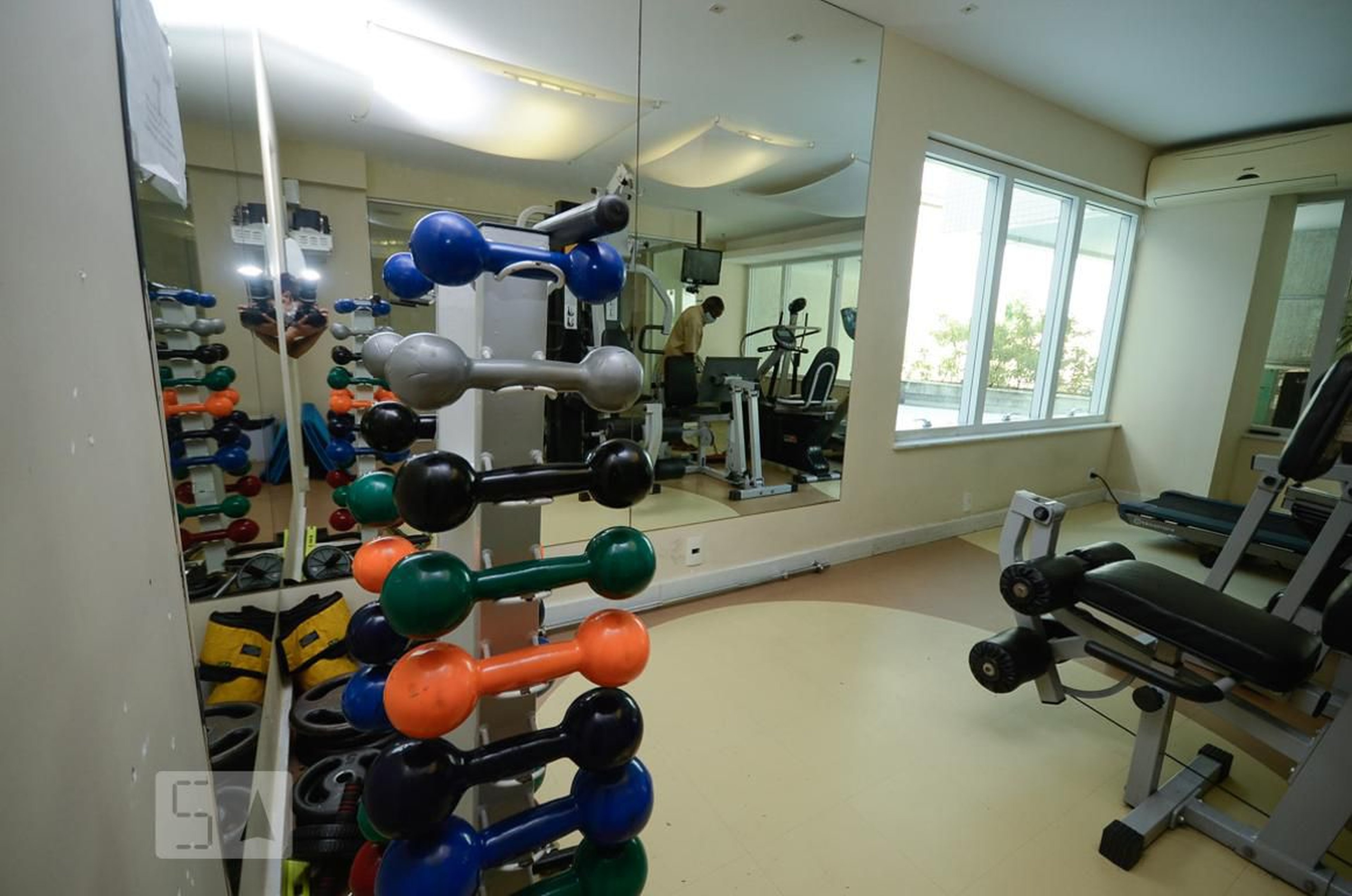 Academia - Palas Atenas