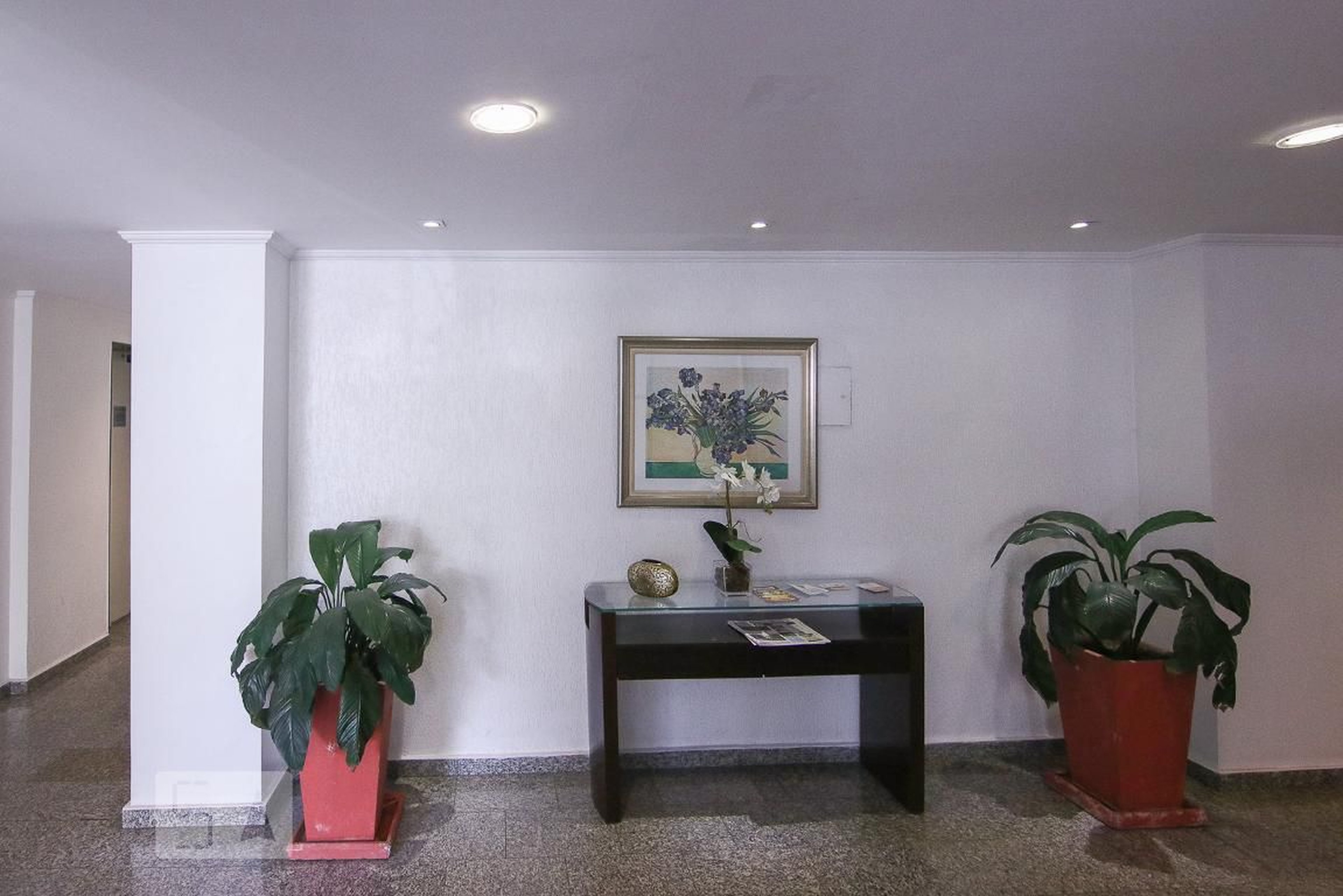 Hall Social - Queens Garden