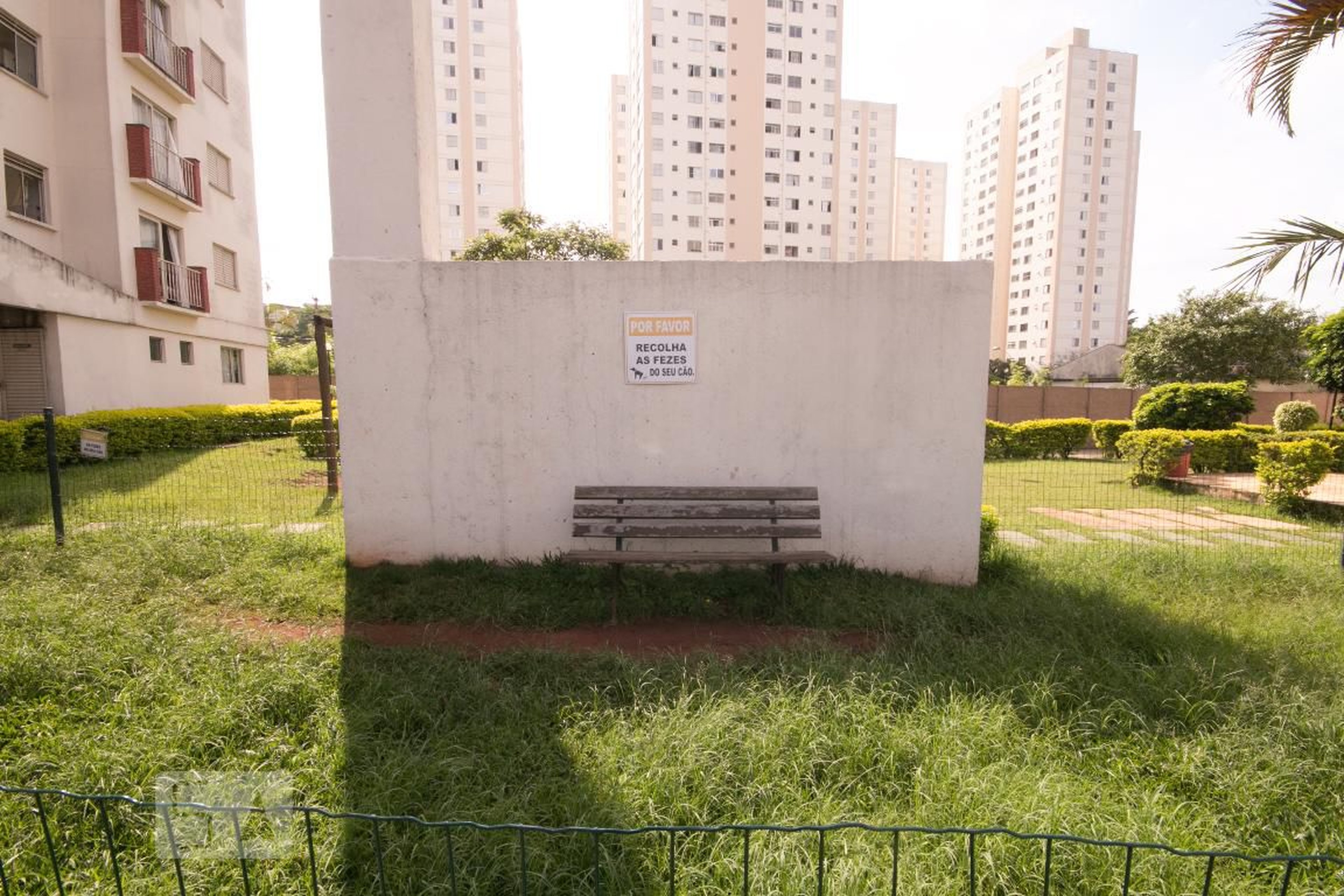 Espaço Pet - Beverly Hills