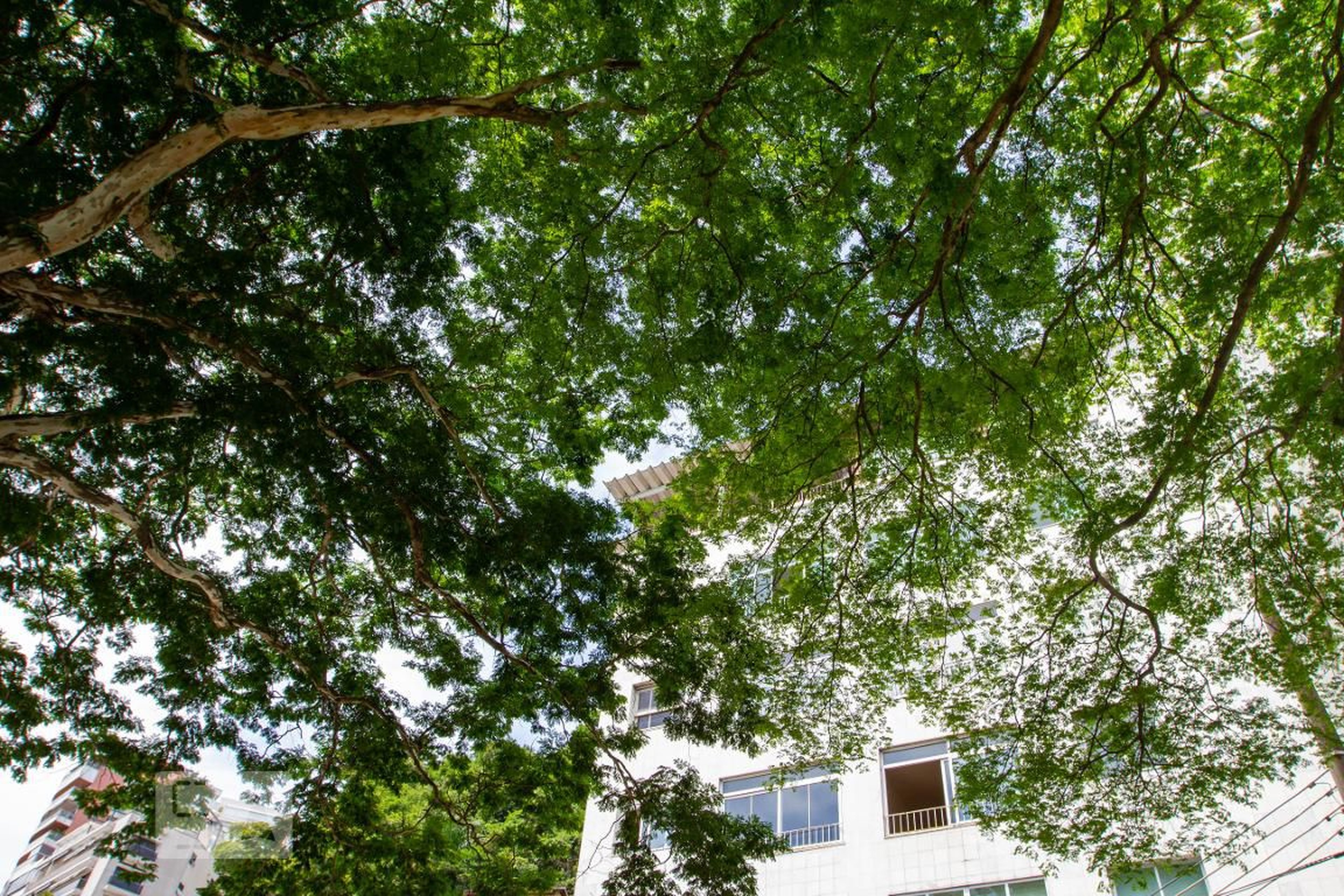 Fachada do Prédio Condomínio em Avenida Epitácio Pessoa, 3624