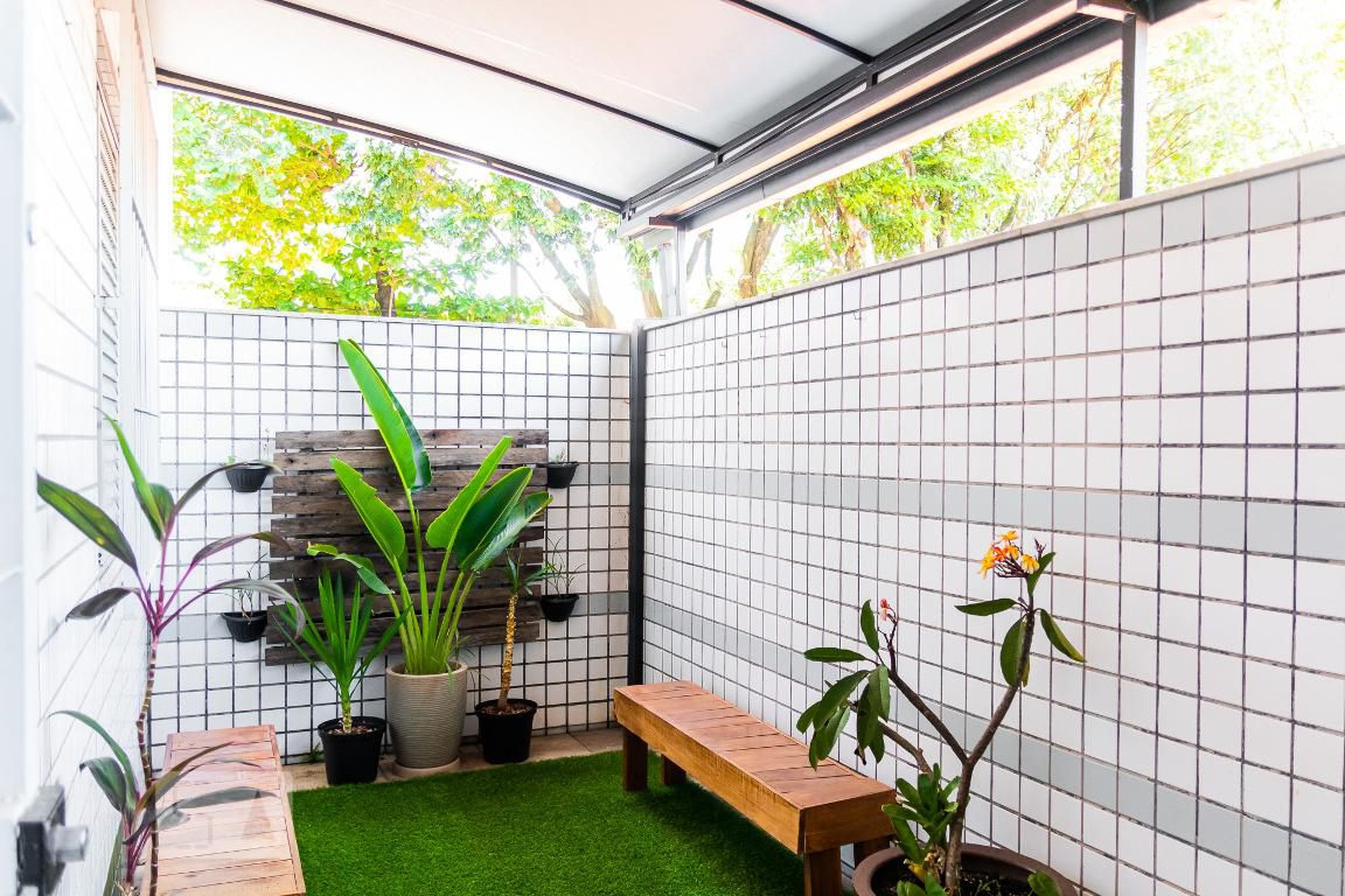 Área Externa - Vitória Régia