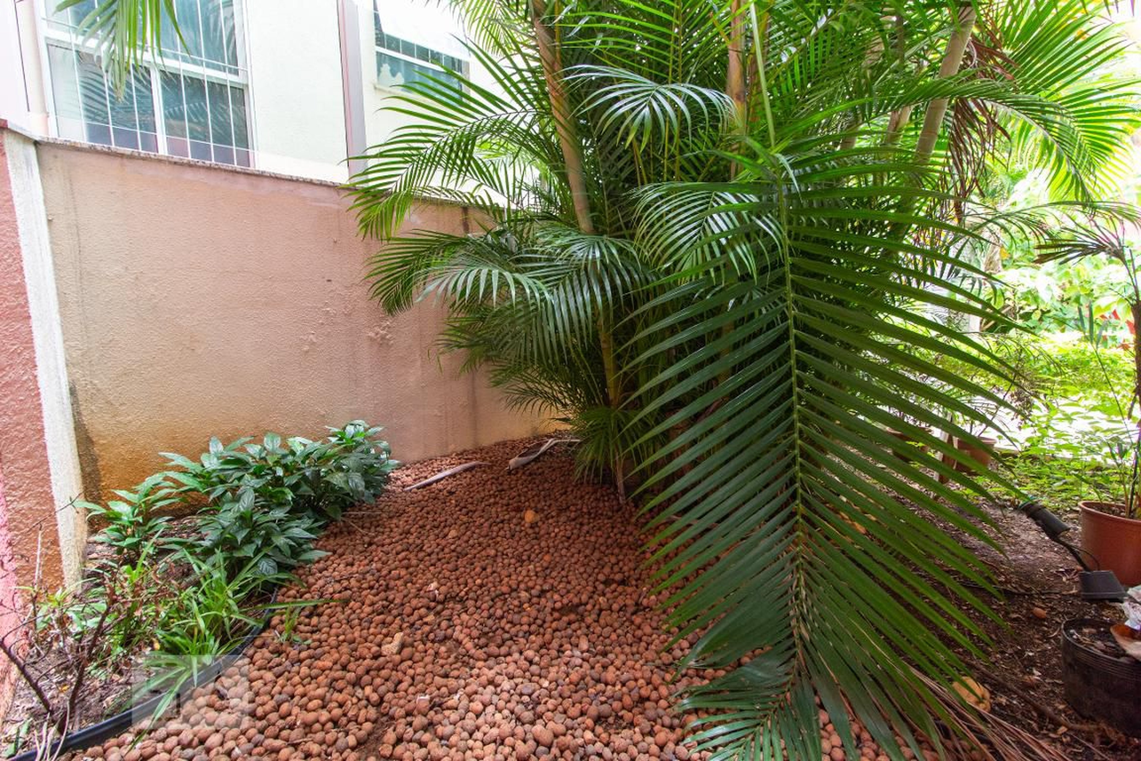 Área Externa - Solução de Maria