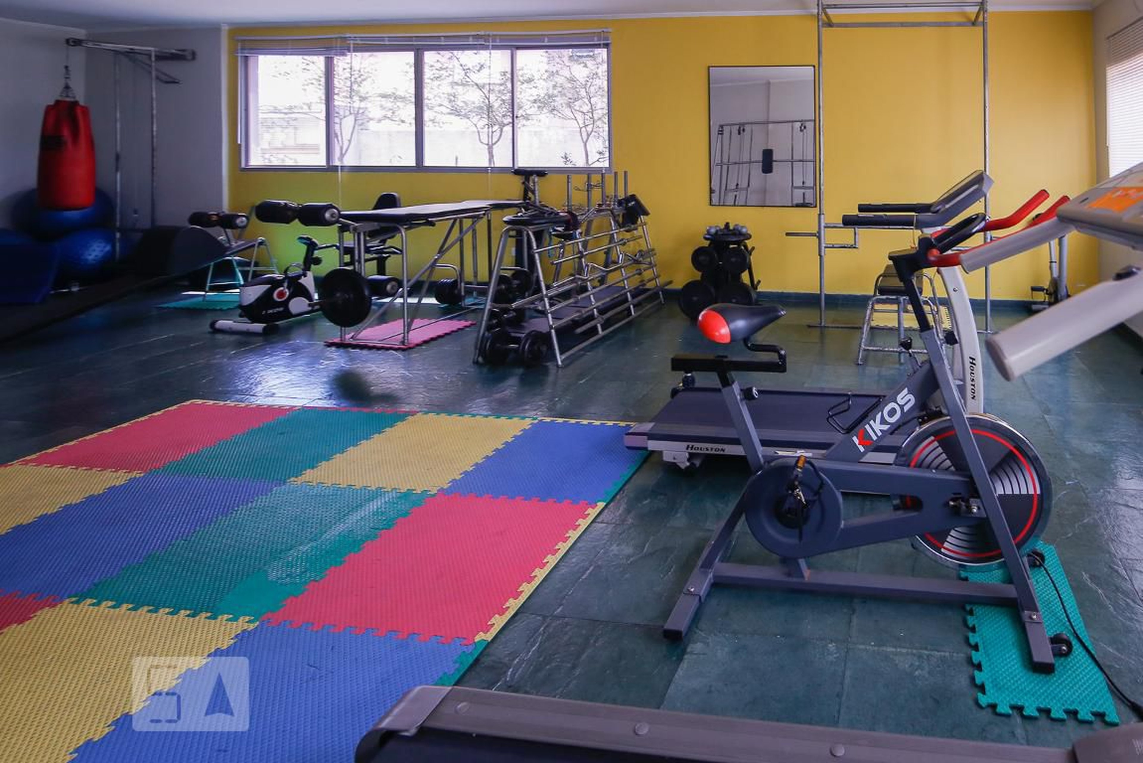 Academia - King Richard