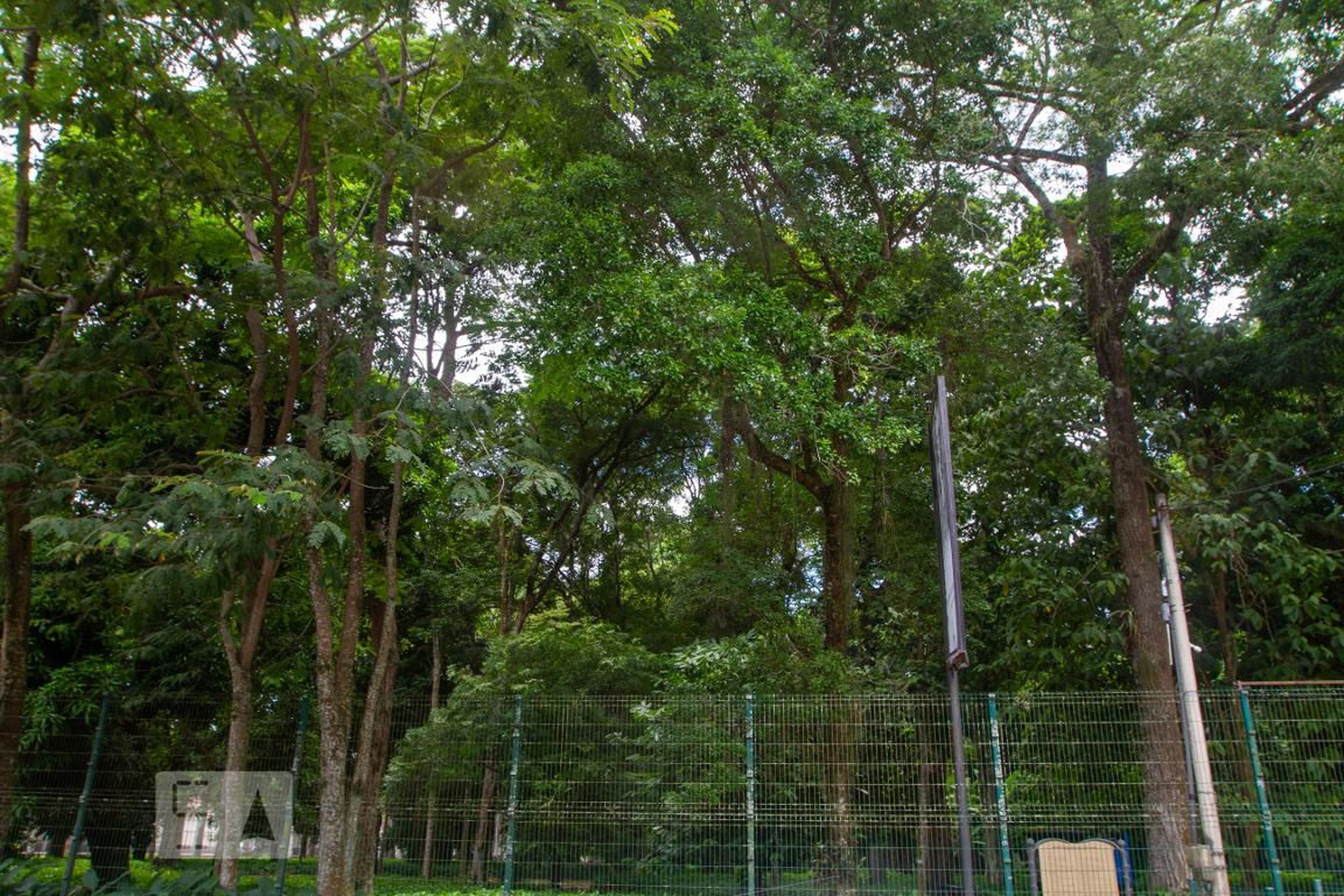 Entrada - Vila Angelina