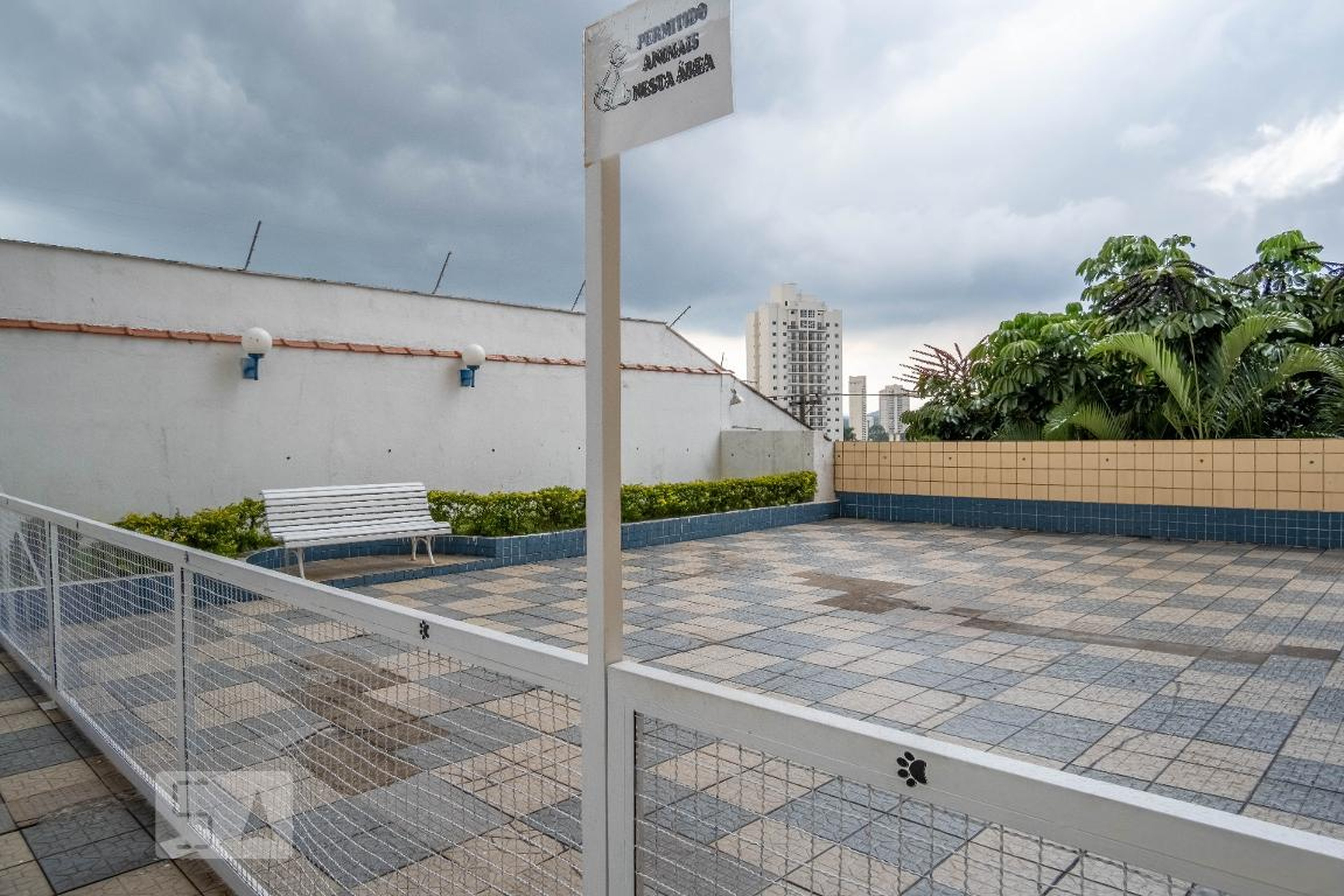 Espaço Pet - Maluma
