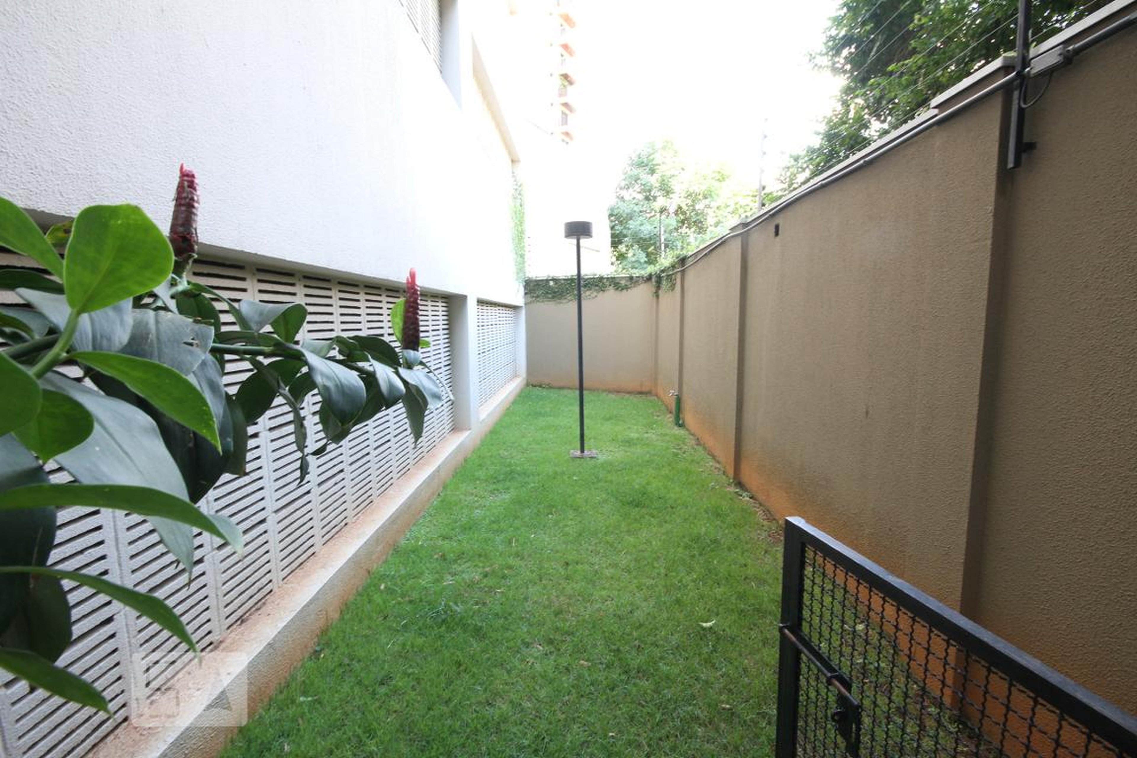 Espaço pet - Dom Parque Aclimação