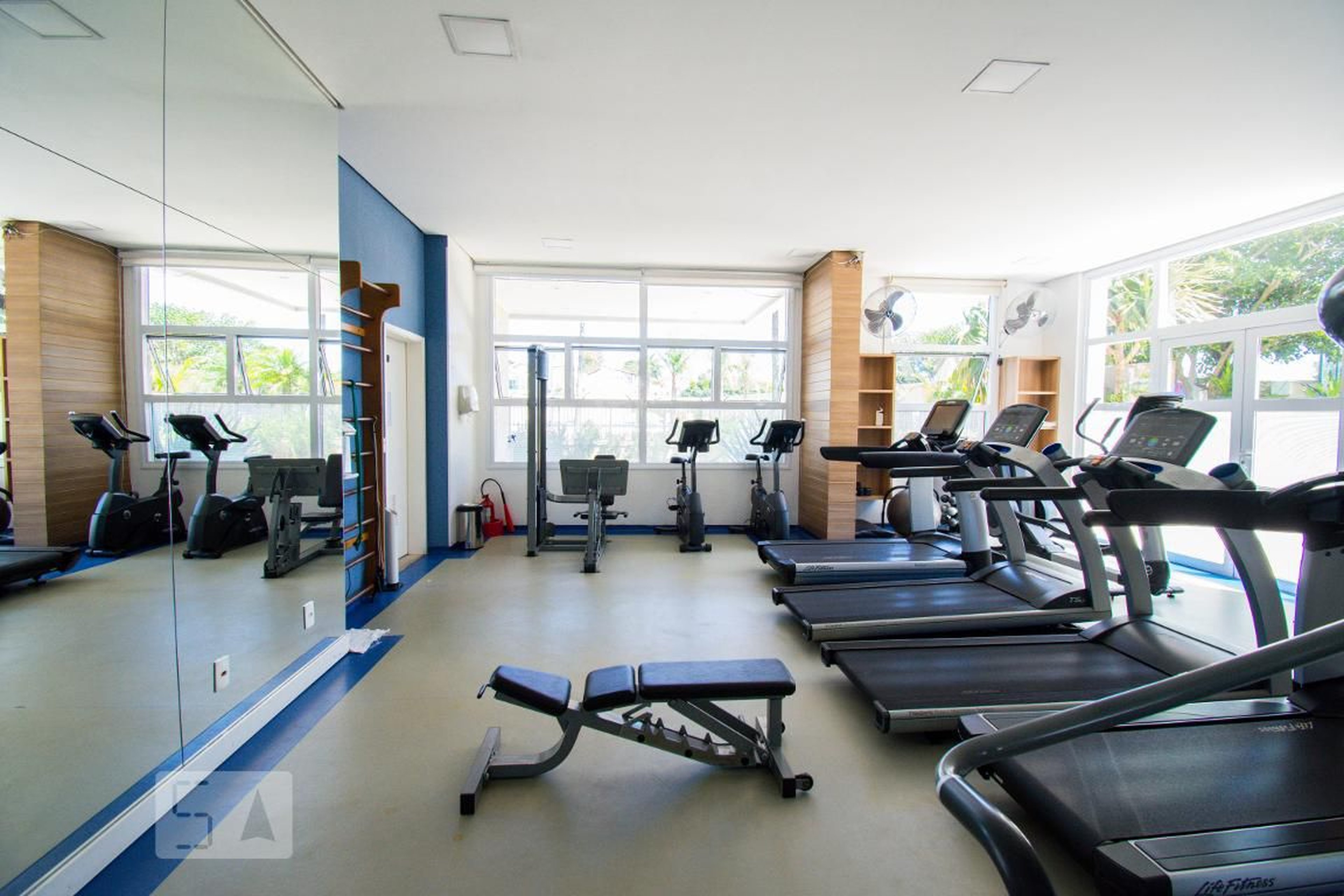 Academia - Bella Aqua