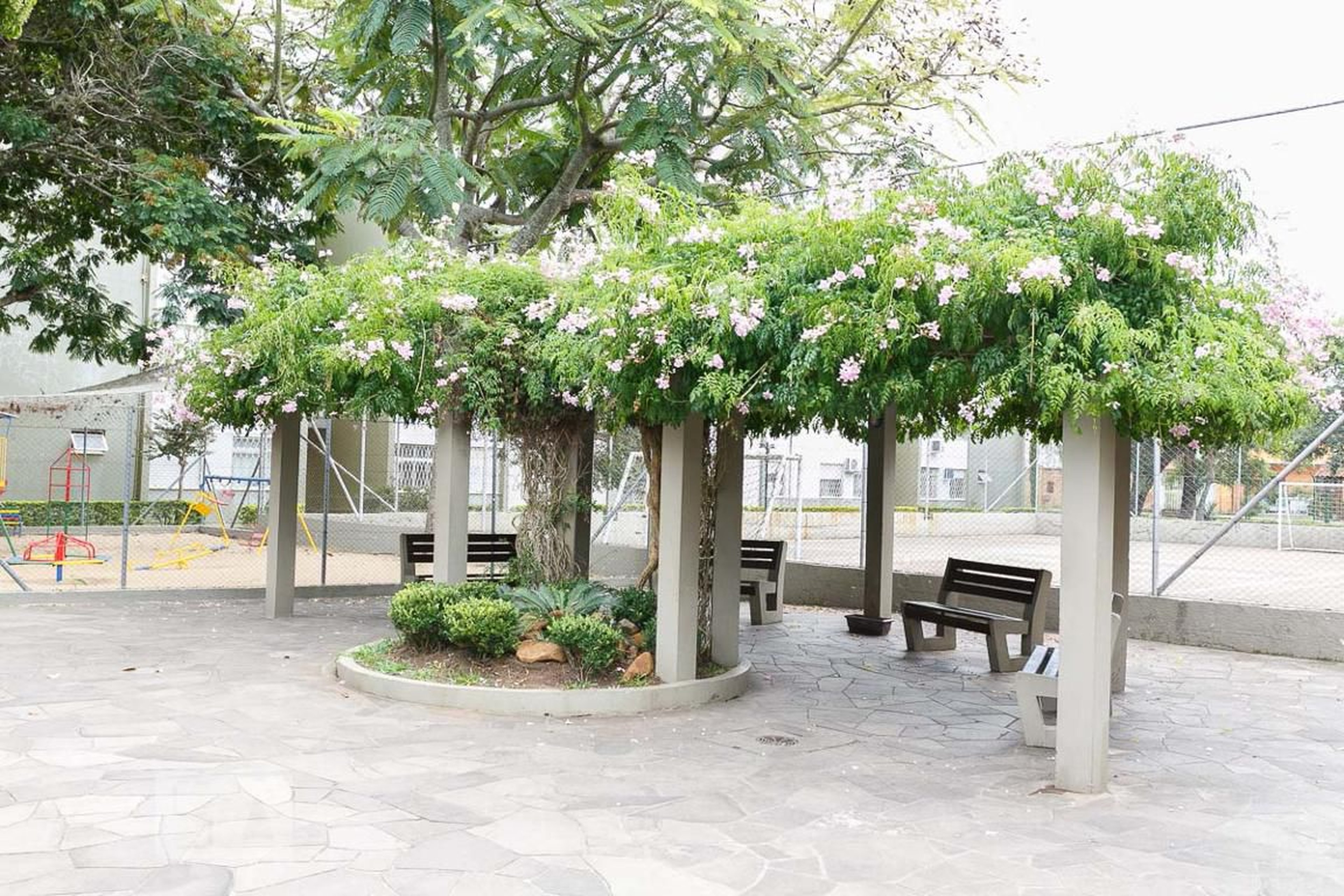 Área Externa - Novo Horizonte