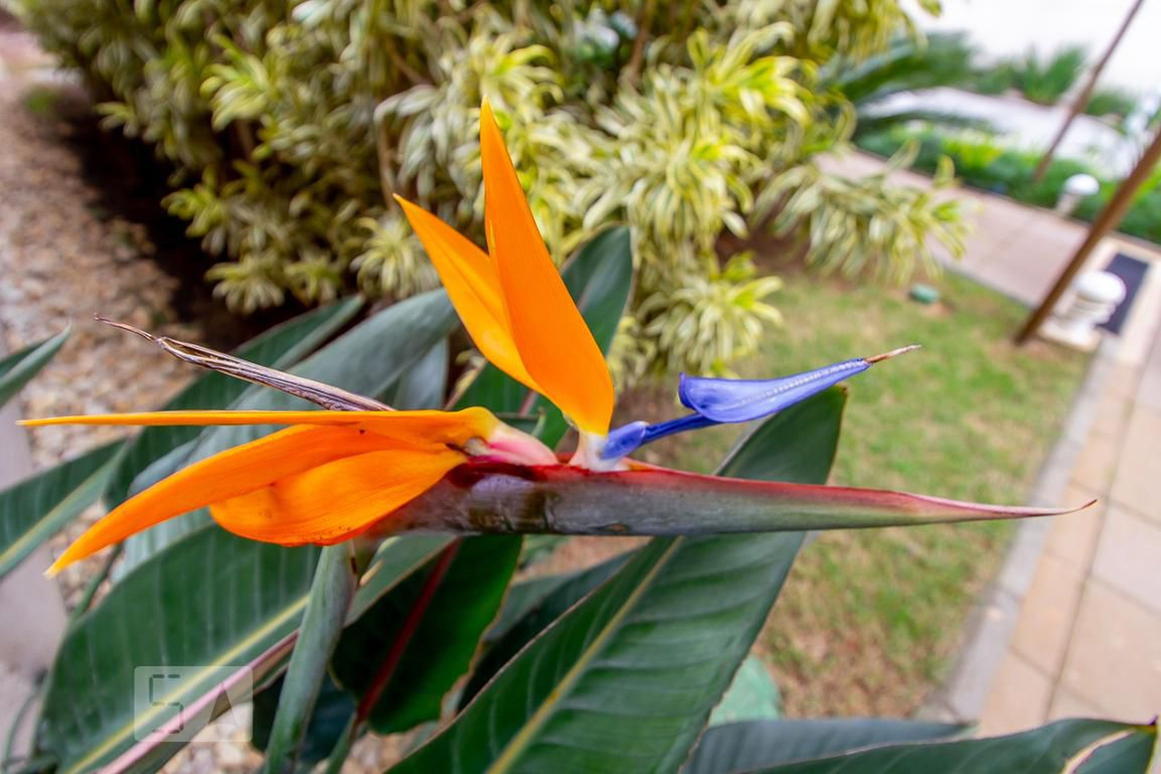 Área comum - Autêntico Mooca