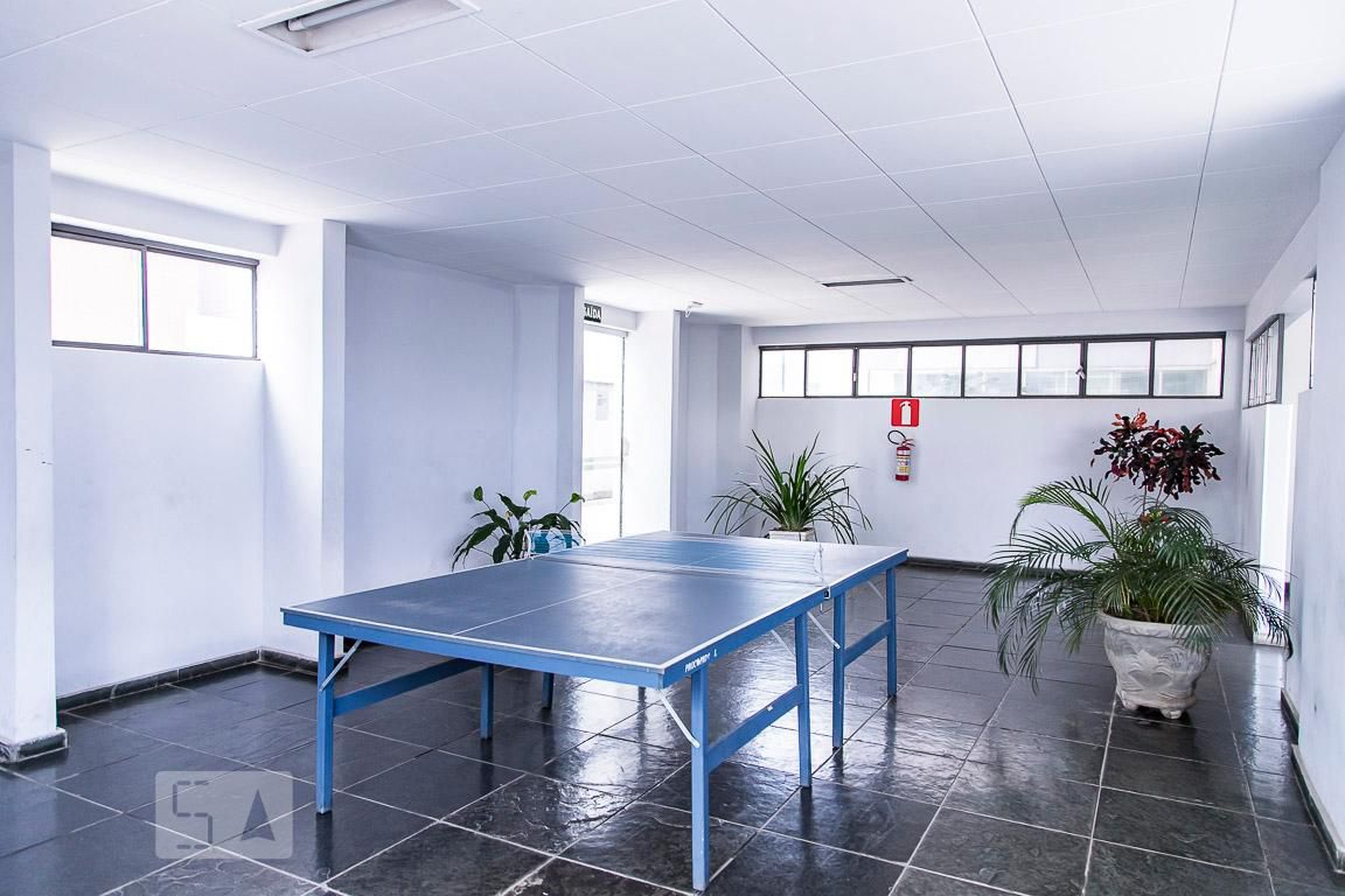 Sala de Jogos - Felisbina Domingues