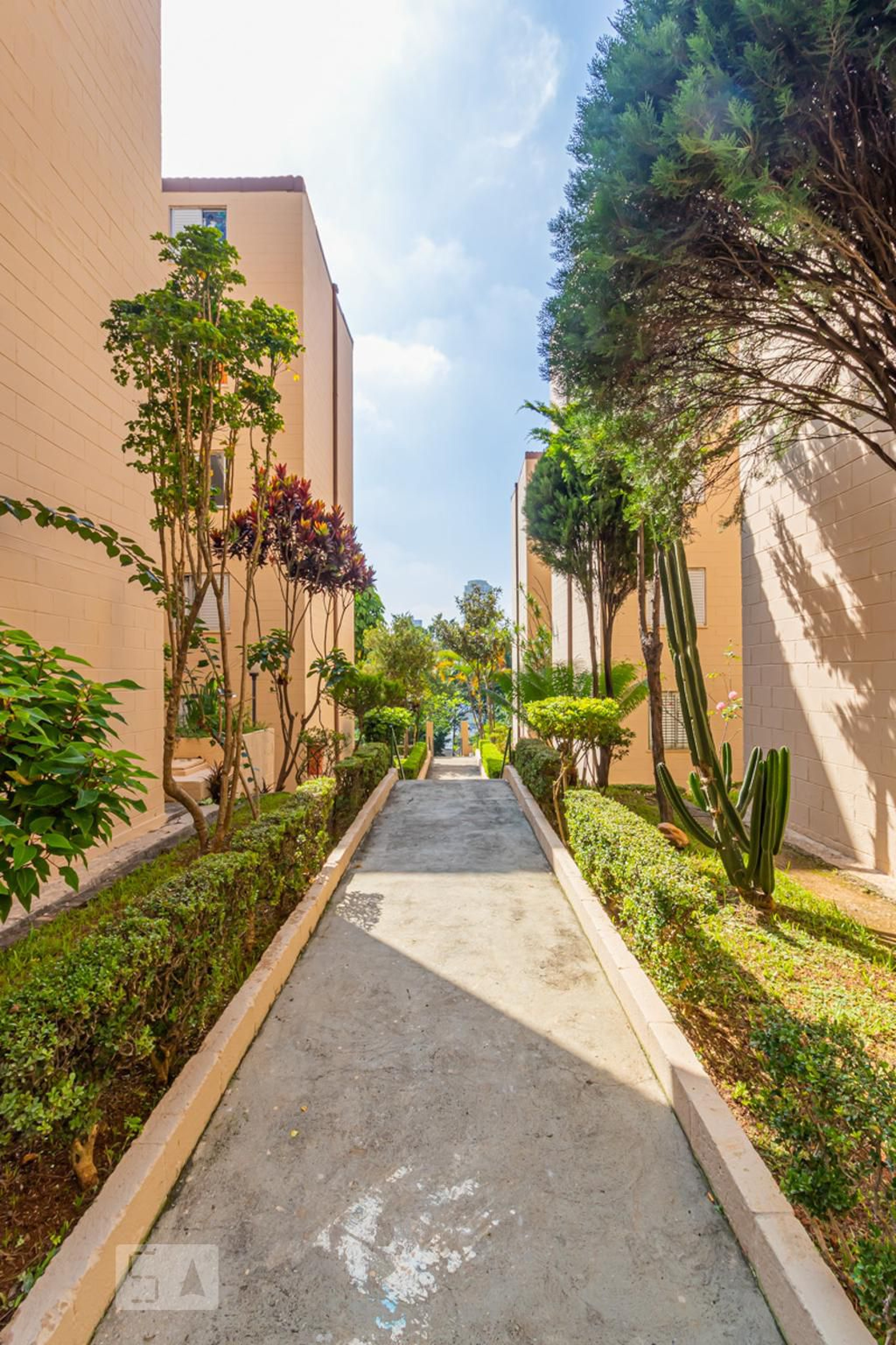 Entrada - Miraflores III