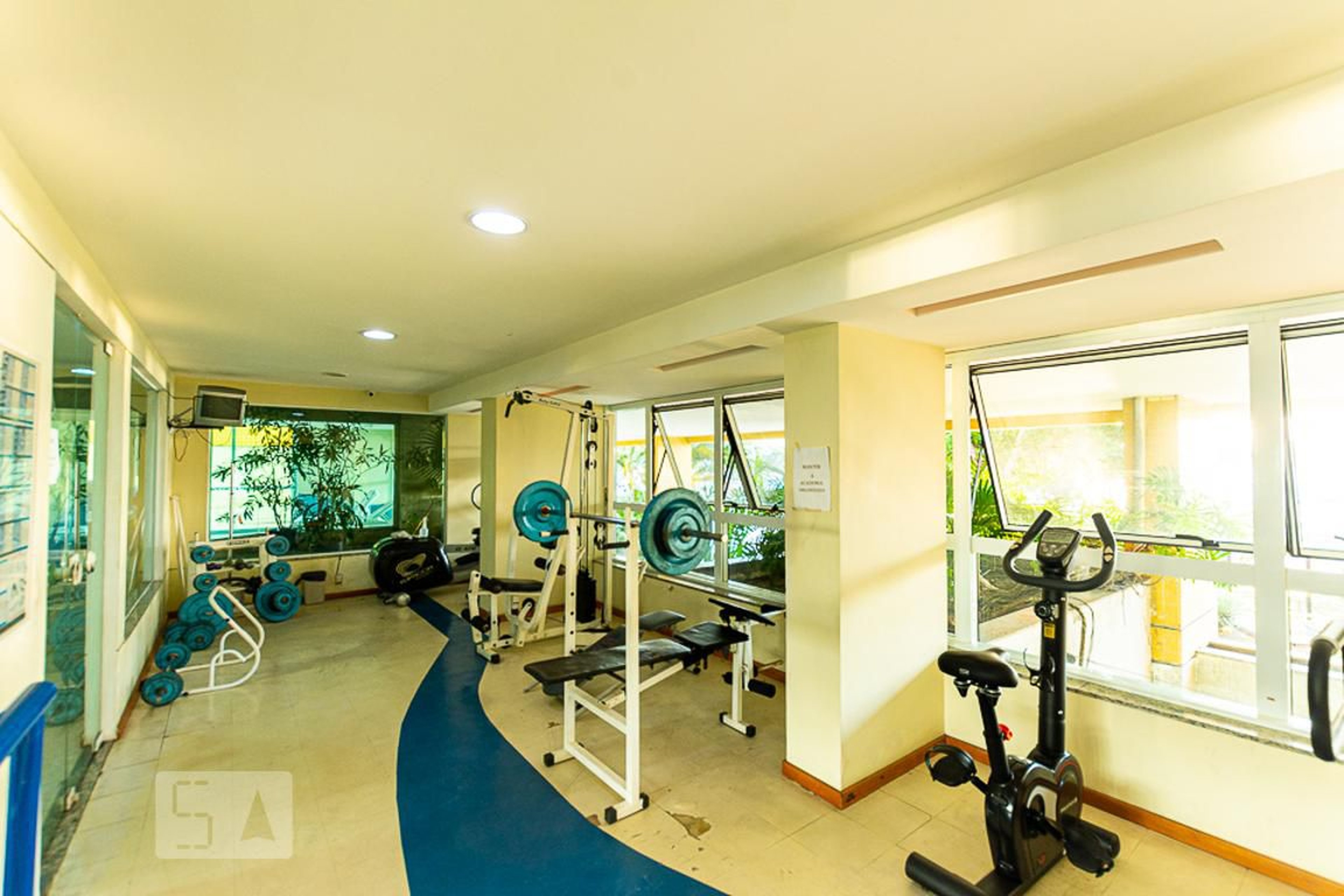 Academia - Golden View