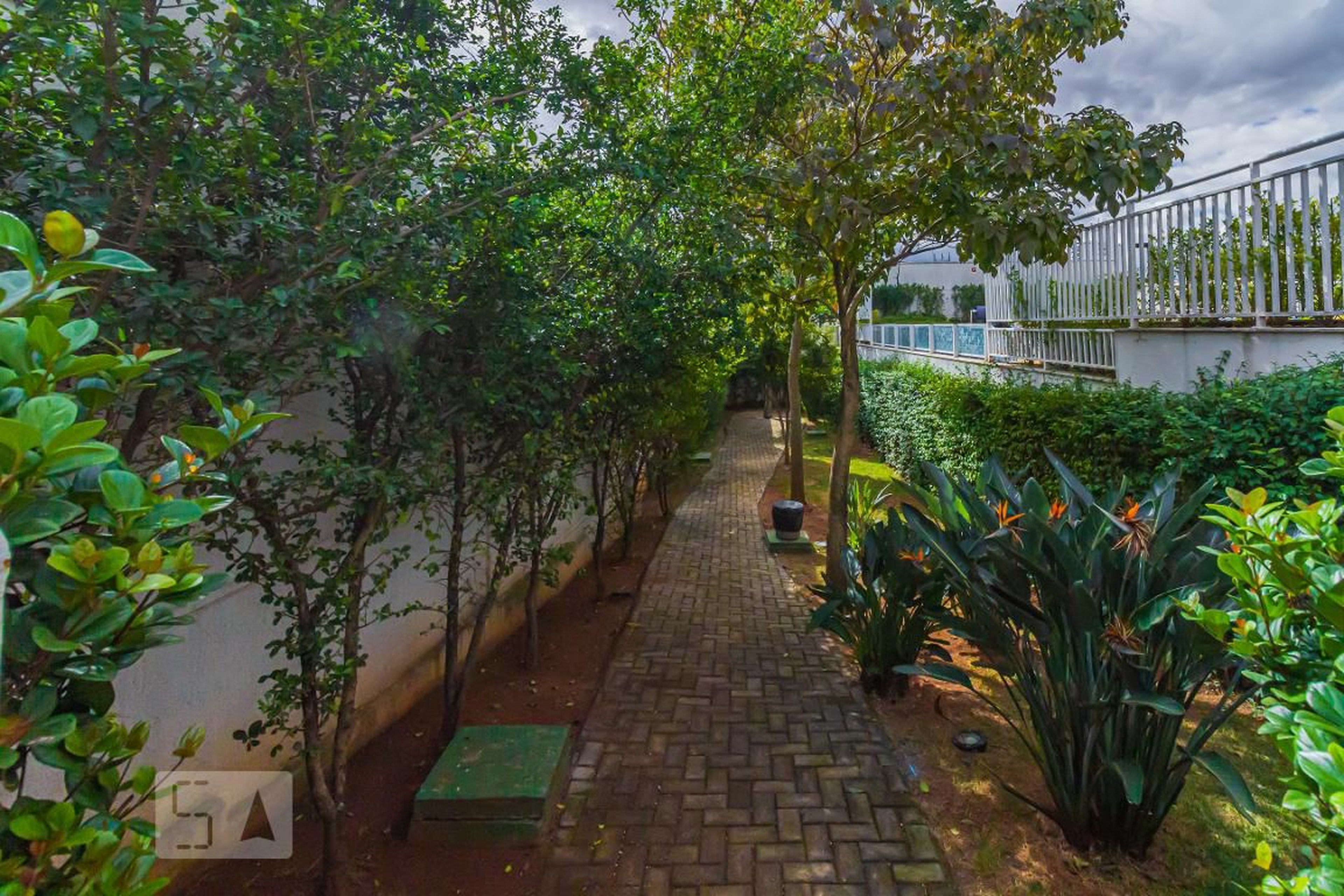 Espaço Pet - Destiny Lapa