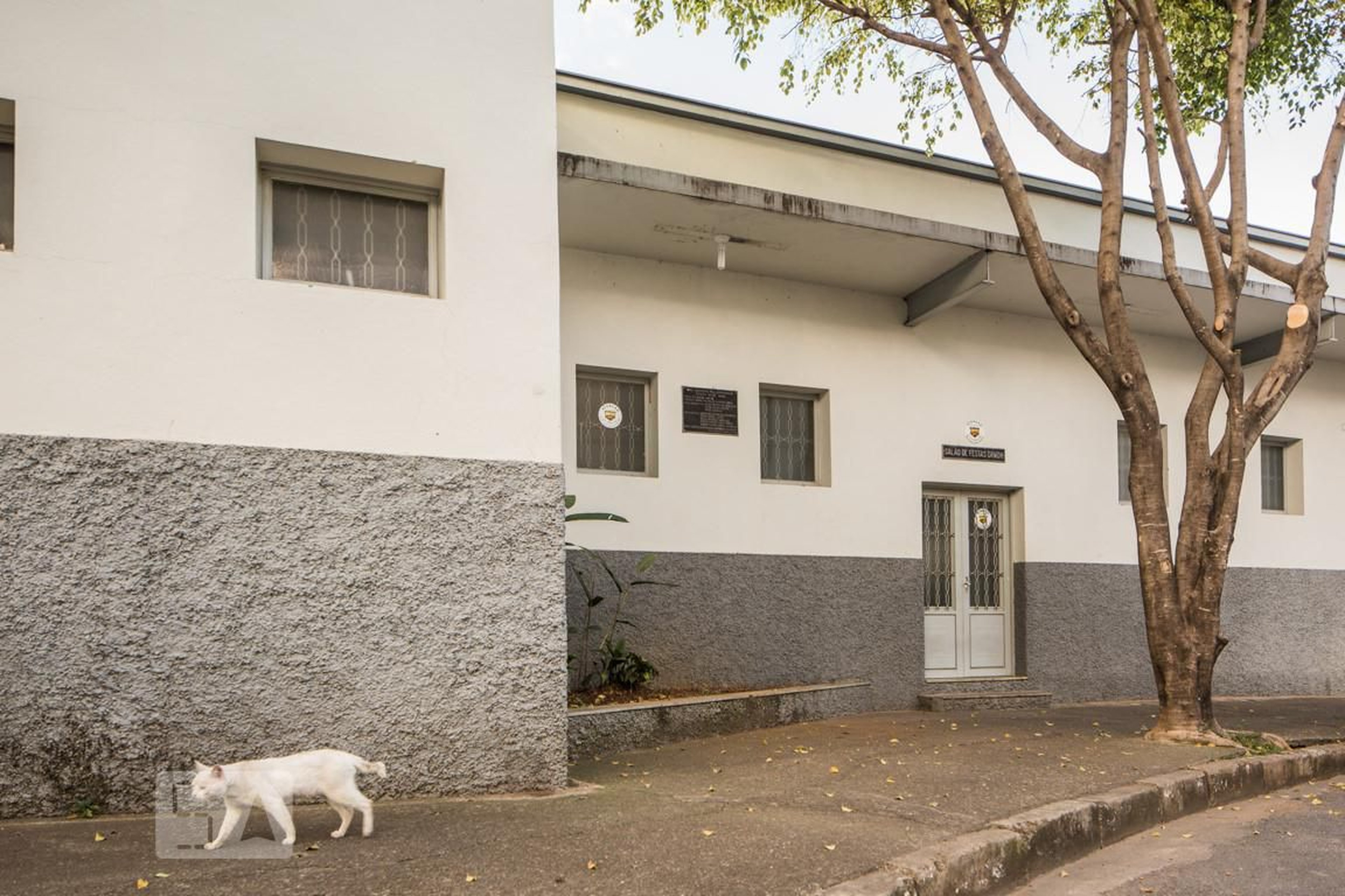 Salão de Festas - Doutor Waldemar Diniz Henriques