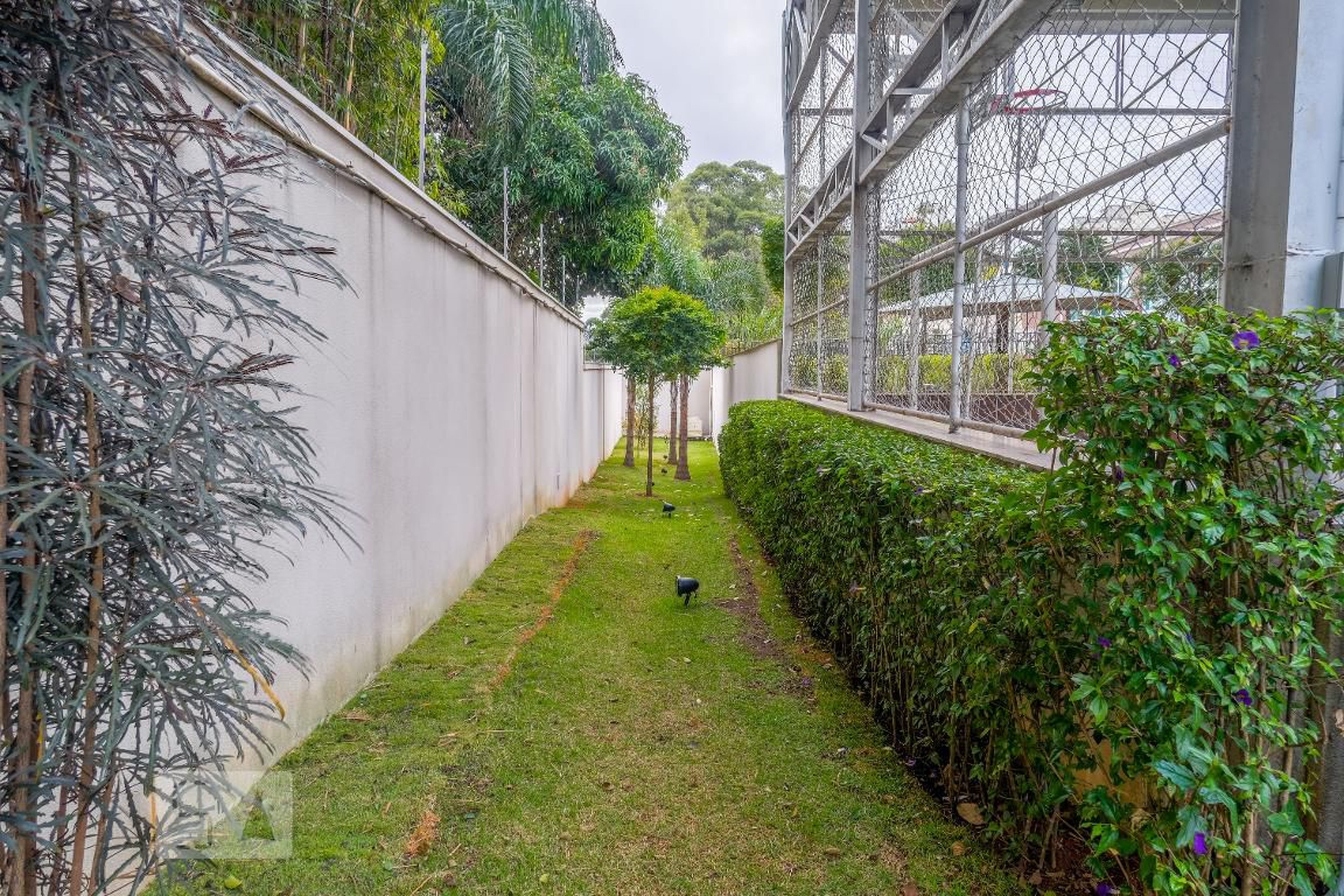 Espaço Pet - Brasília Celebration