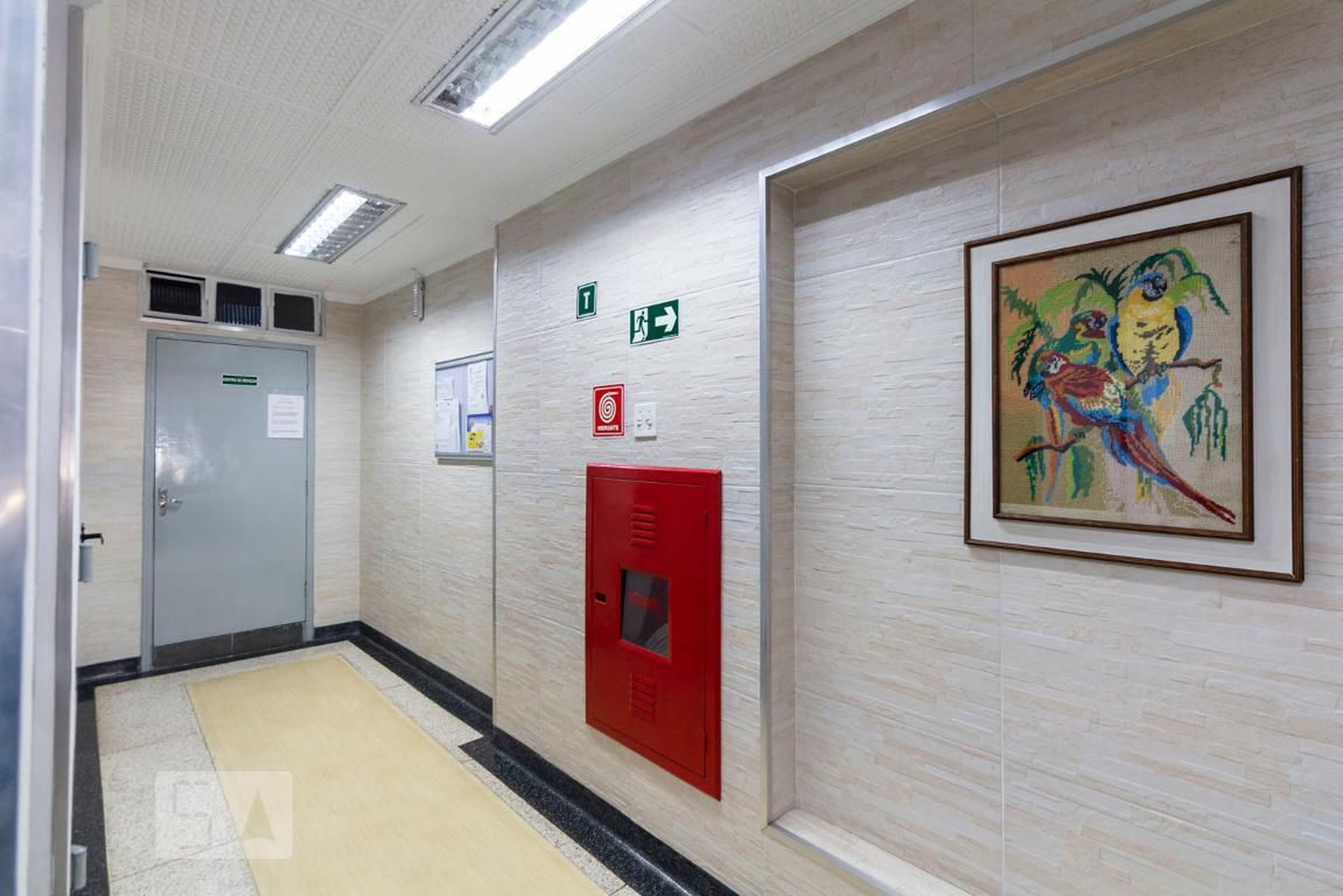 Hall social - Granada