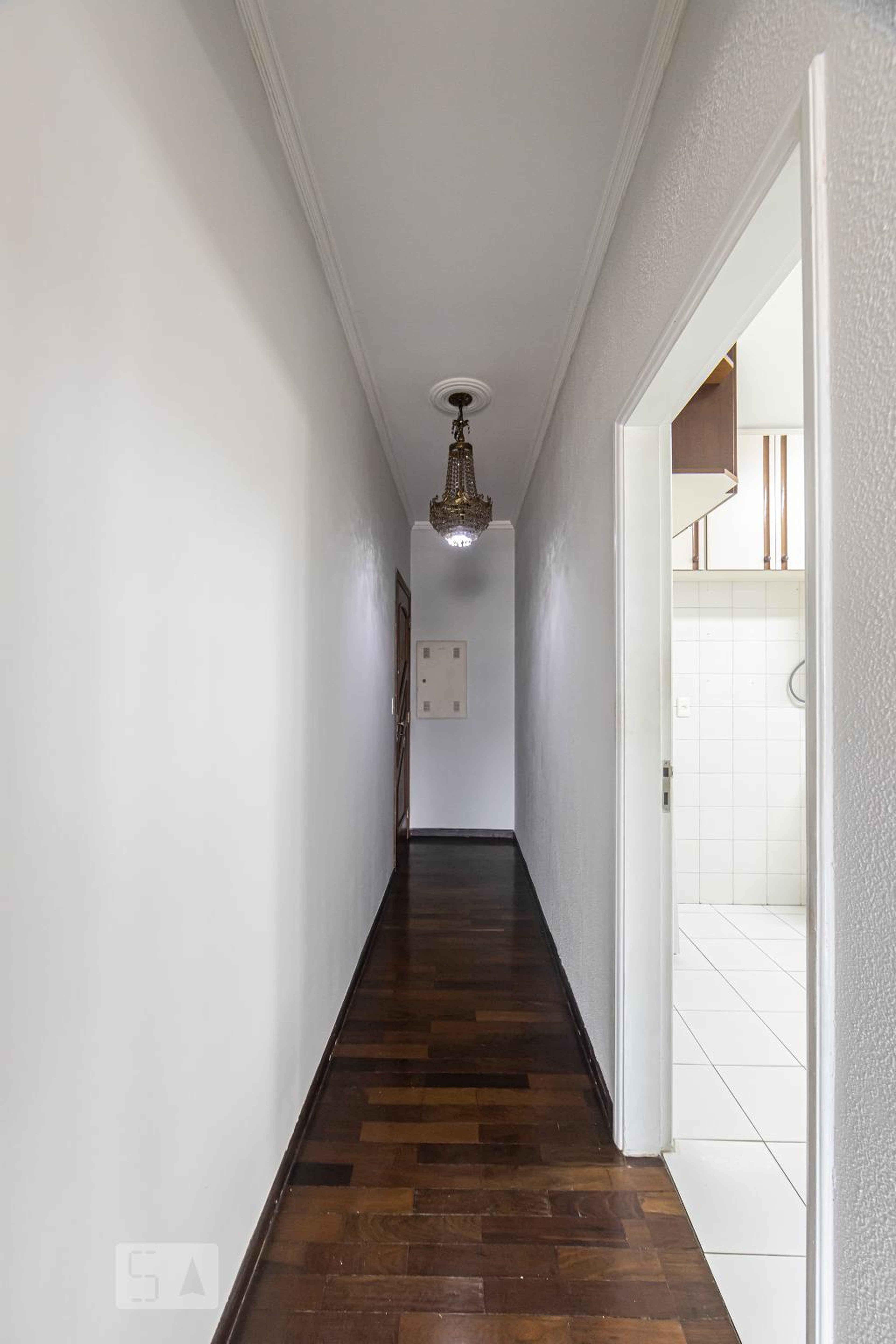 Hall - Igarapés