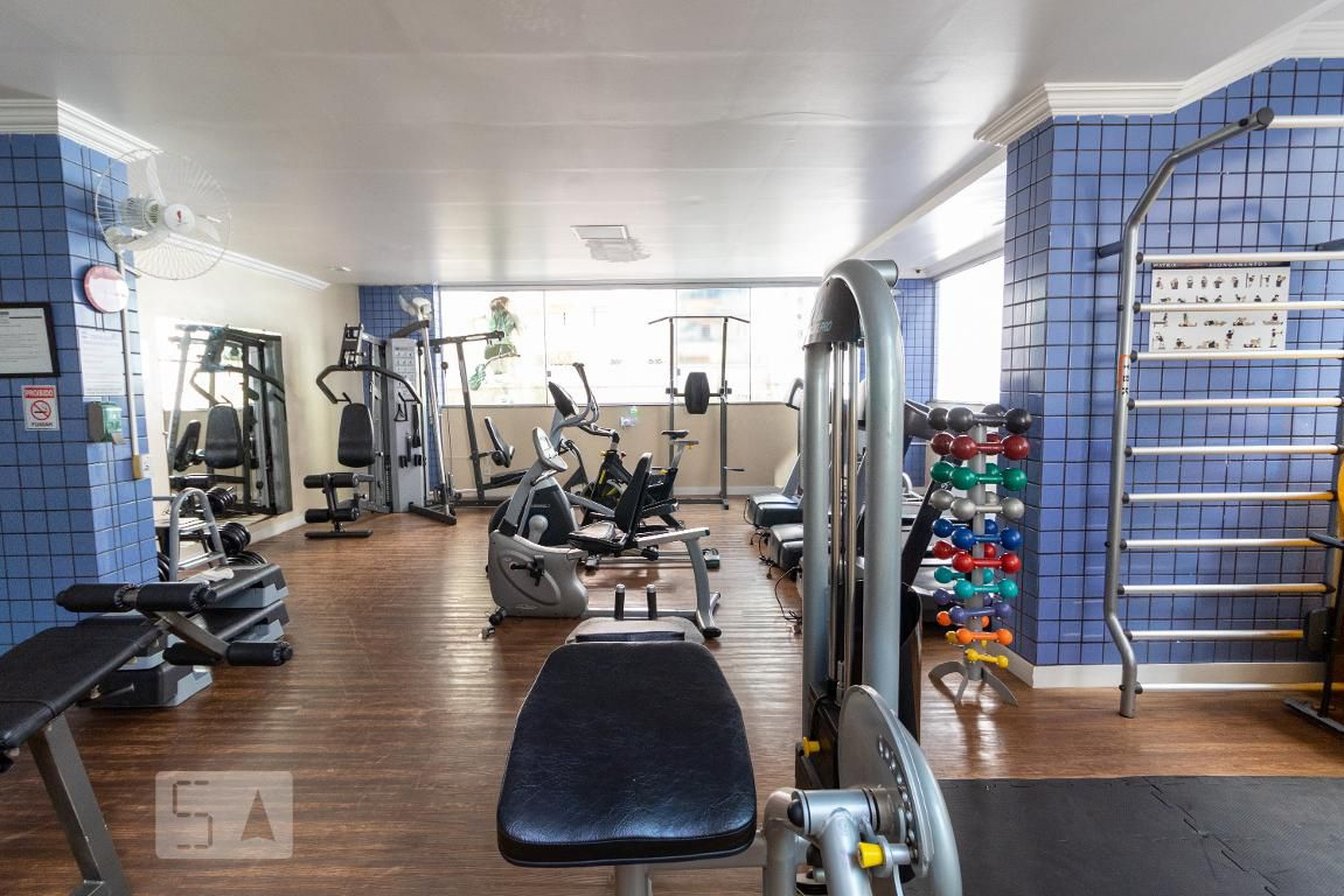 Academia - Dirceu da Rocha