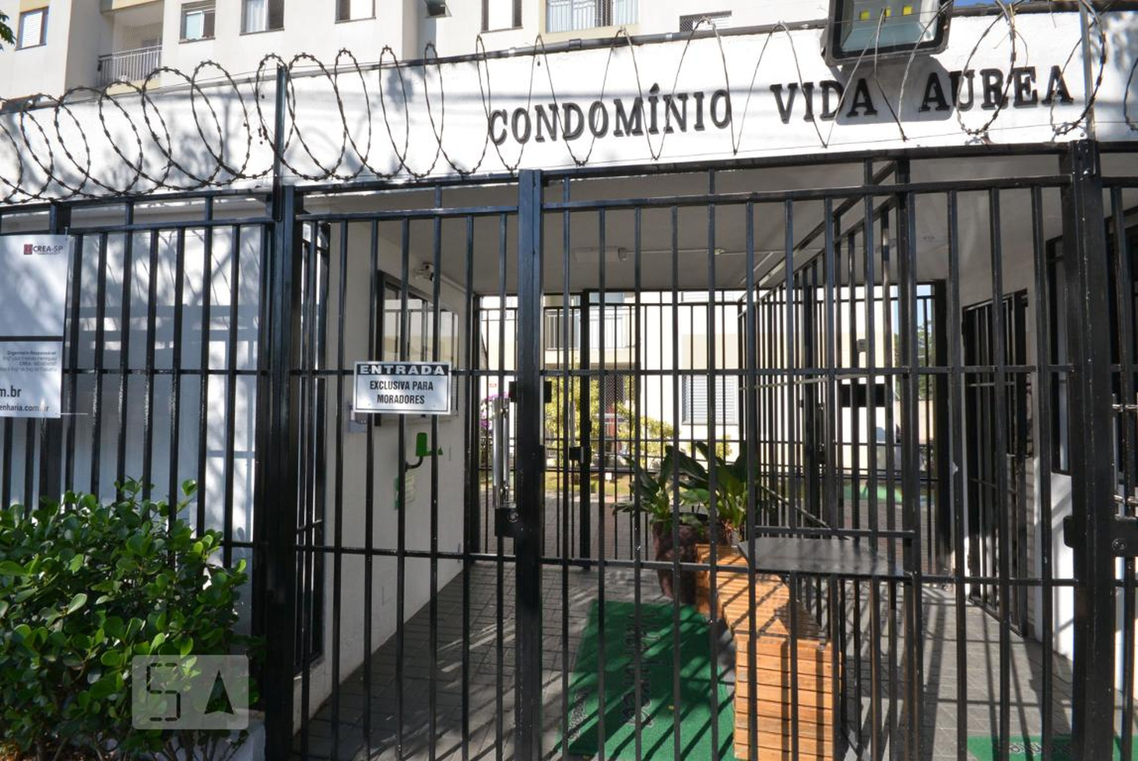 Entrada - Vida Áurea
