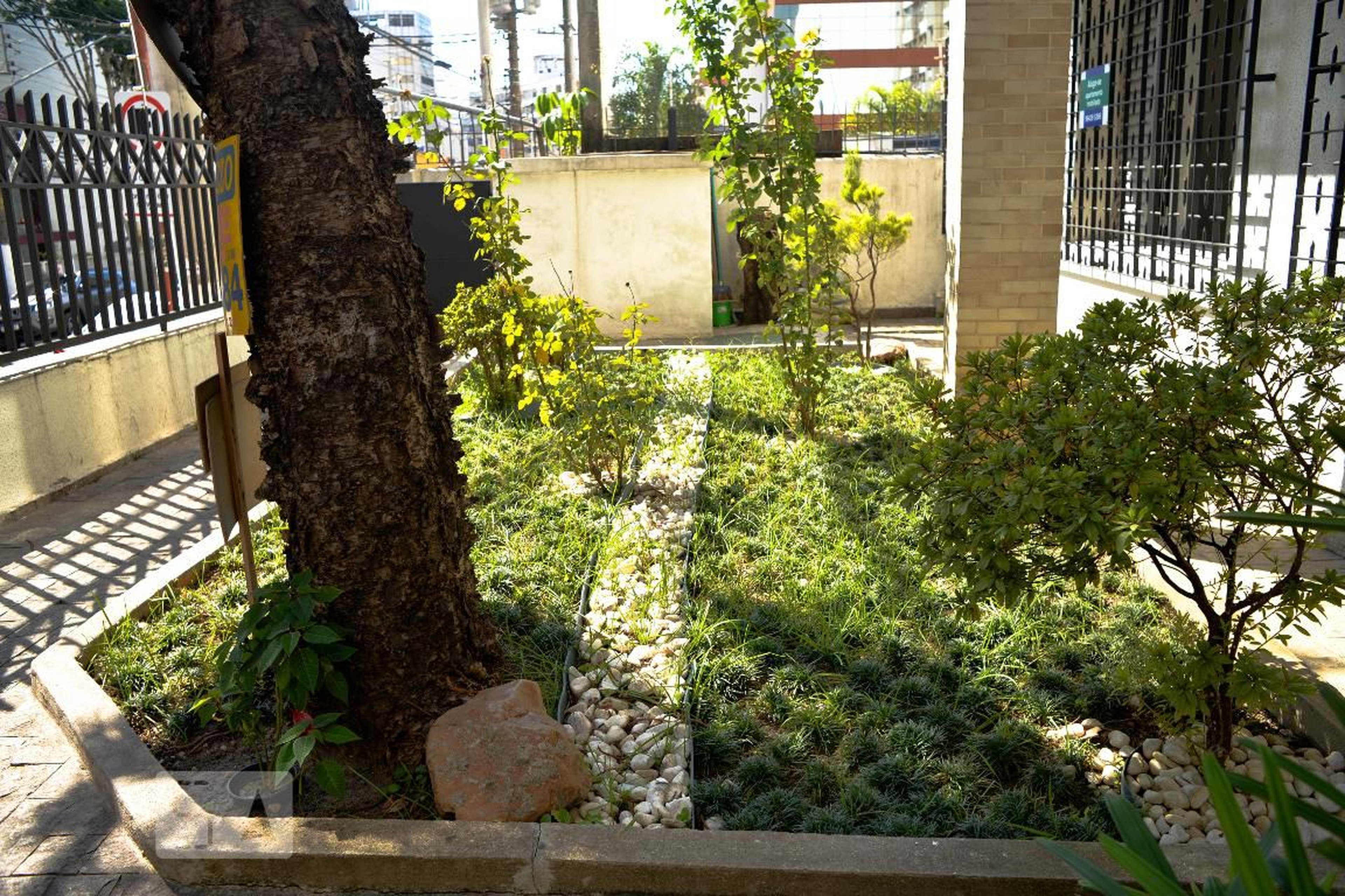 Área comum - Vera Lígia