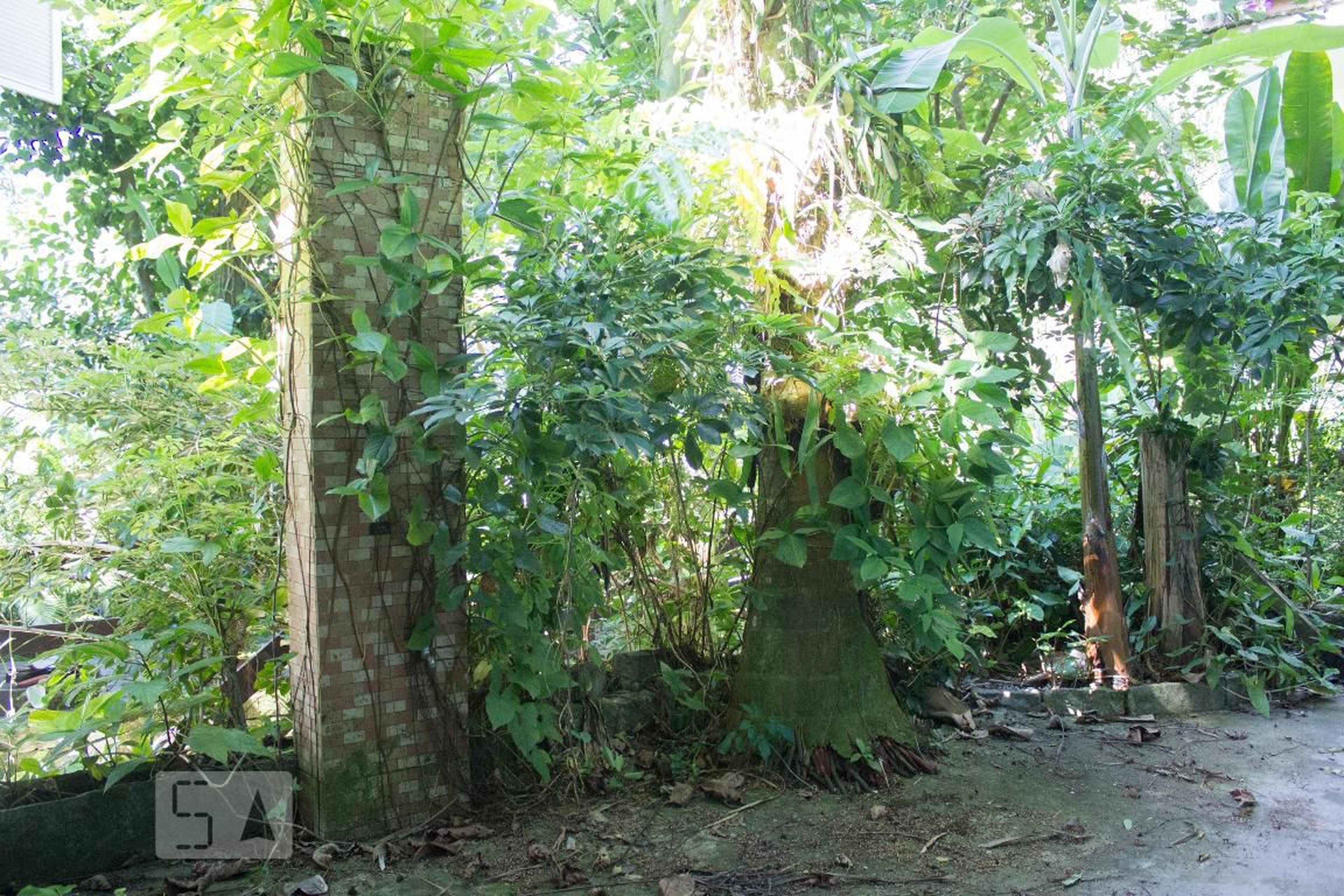 Area Externa - Povoado das Canoas