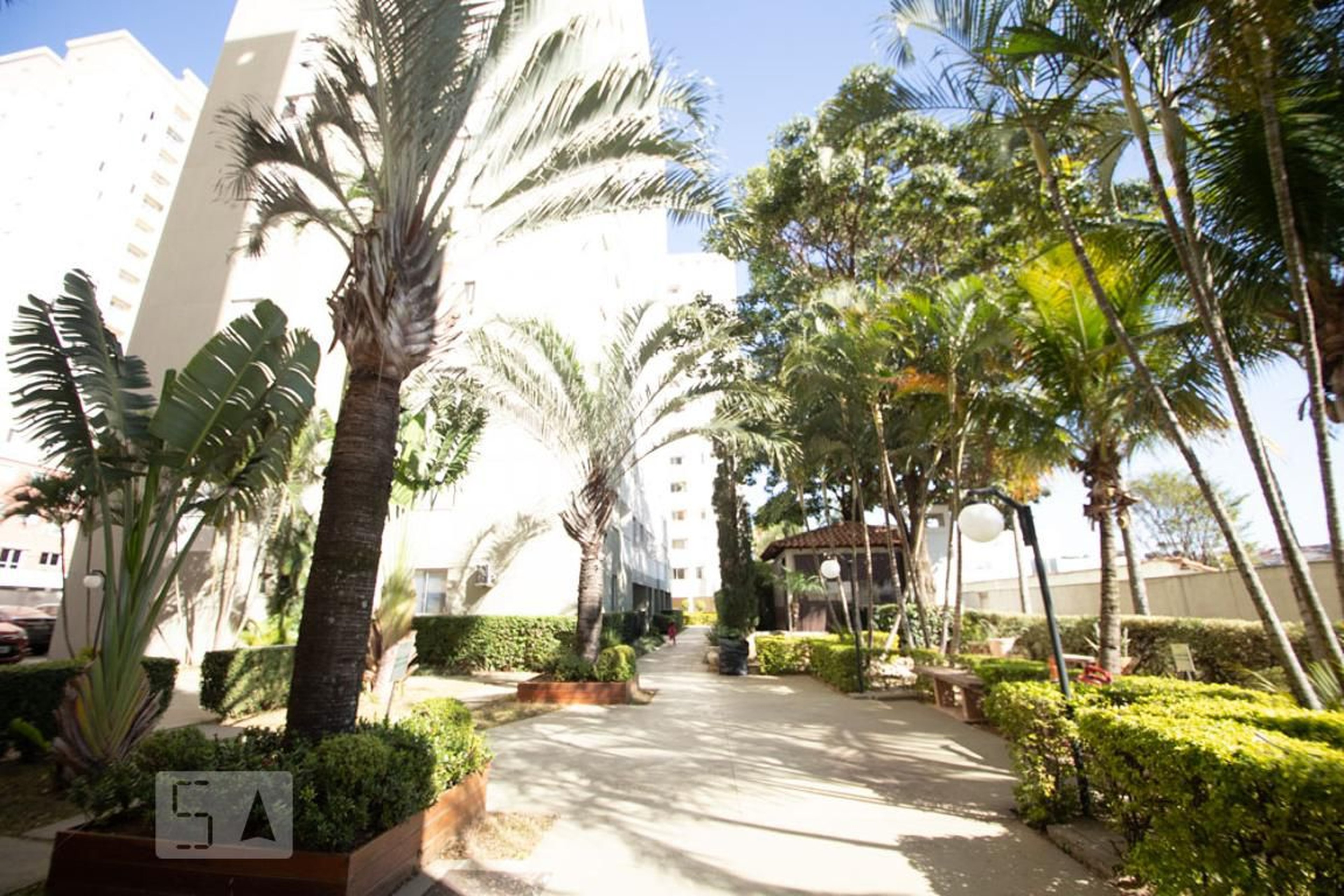 area externa - Ilhas do Caribe