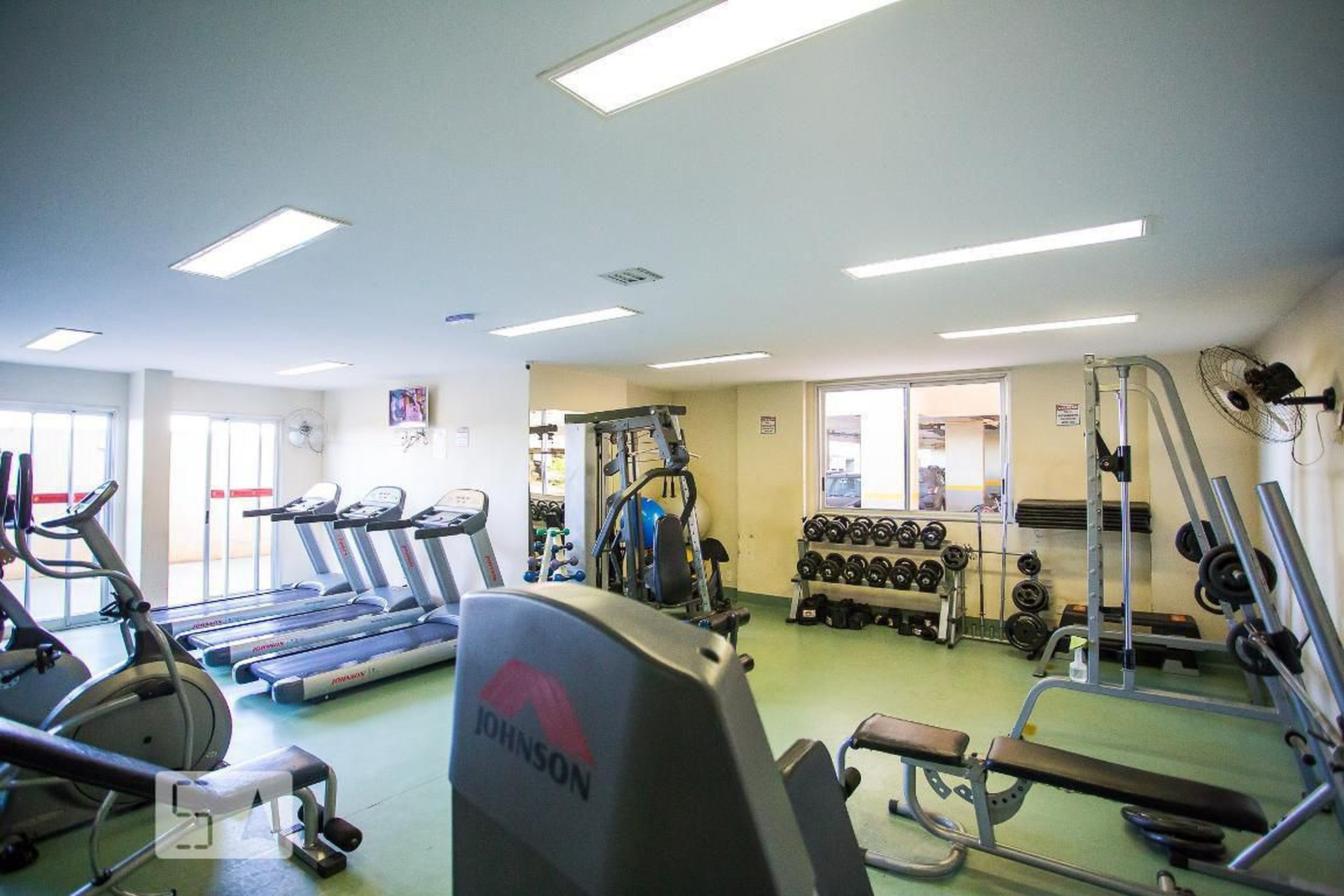 Academia - Dolce Vitta