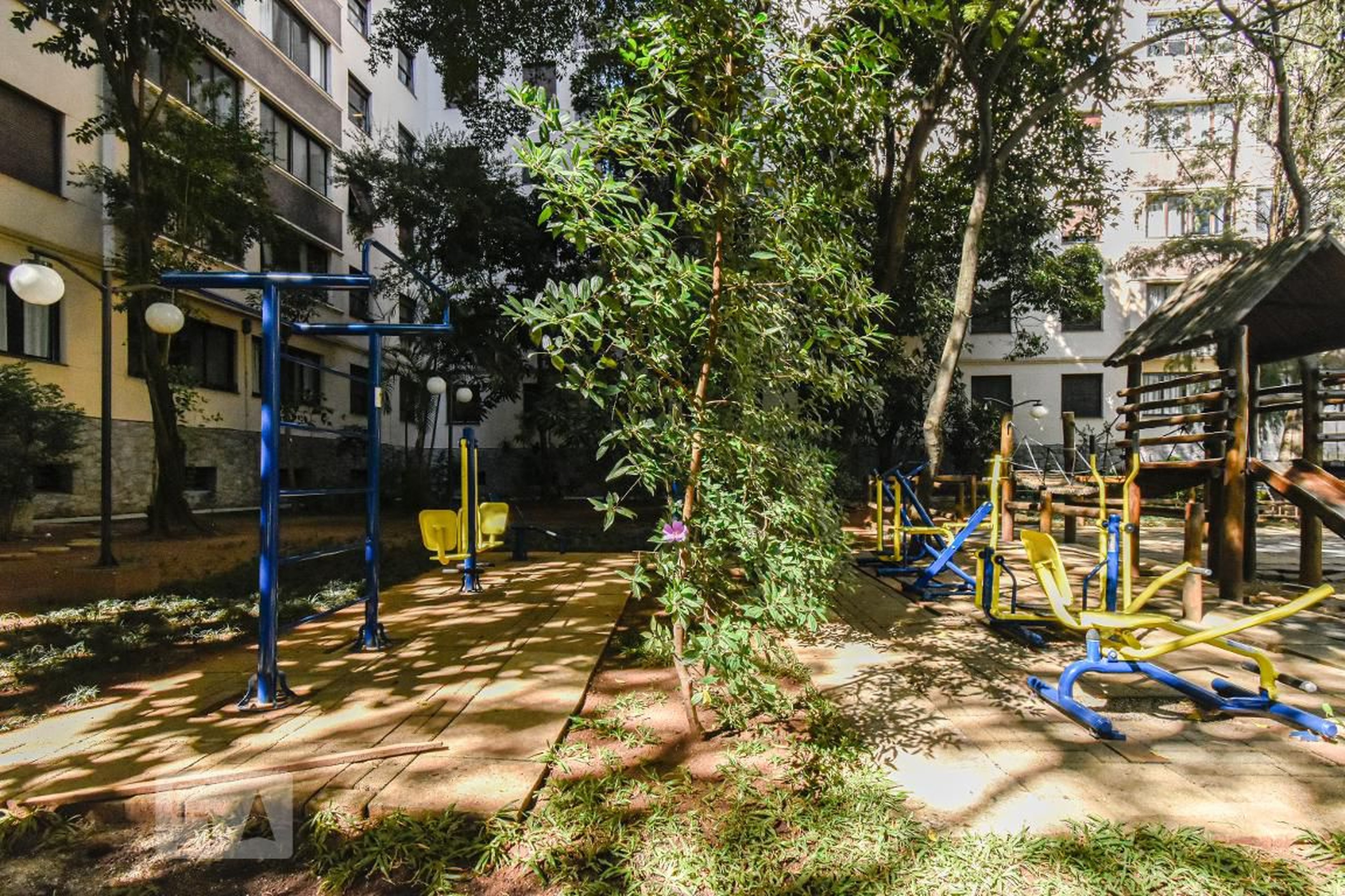 Academia - 28 de Agosto