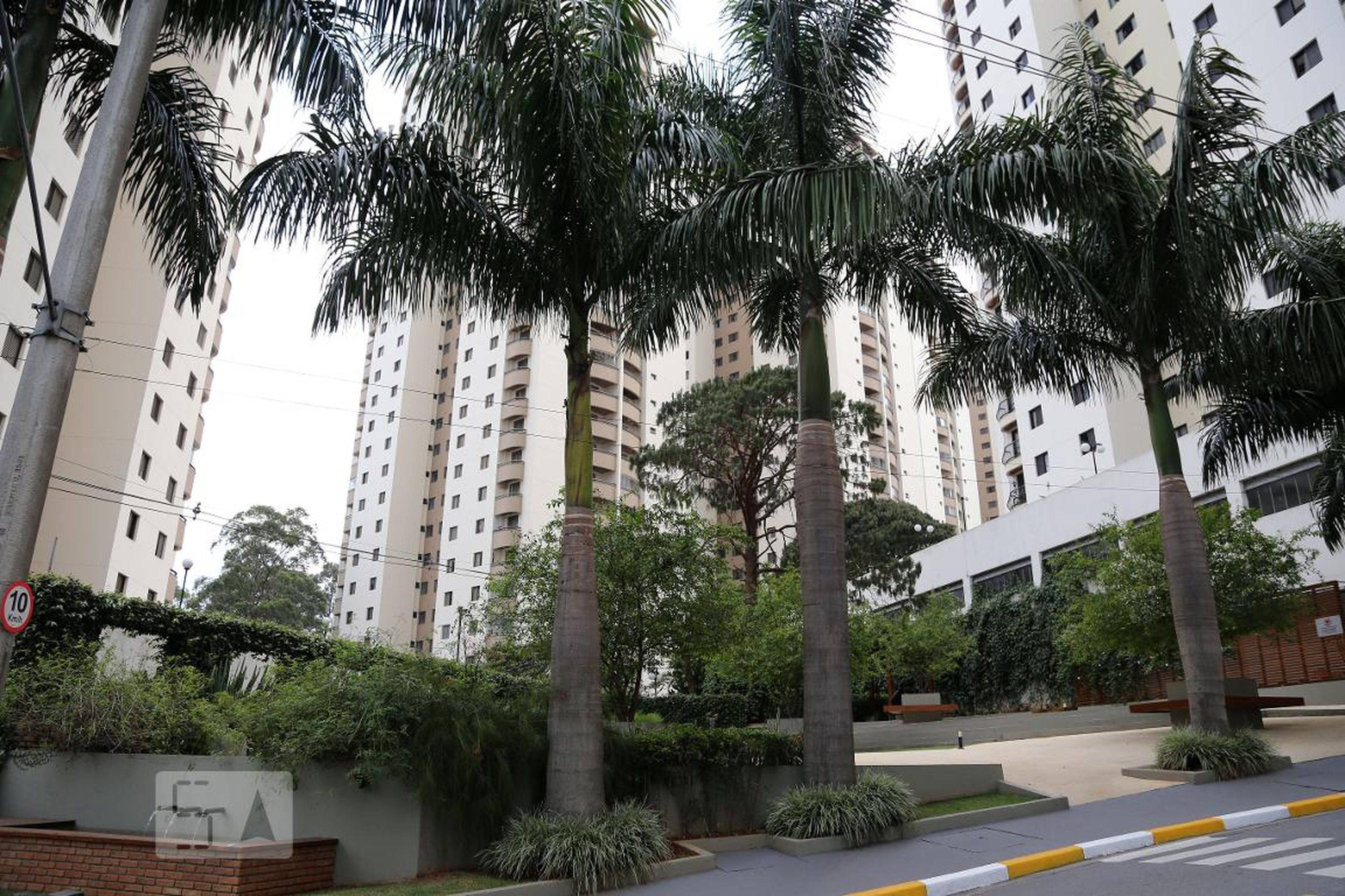 Fachada do Prédio Edifício  C .Cerejeira curió