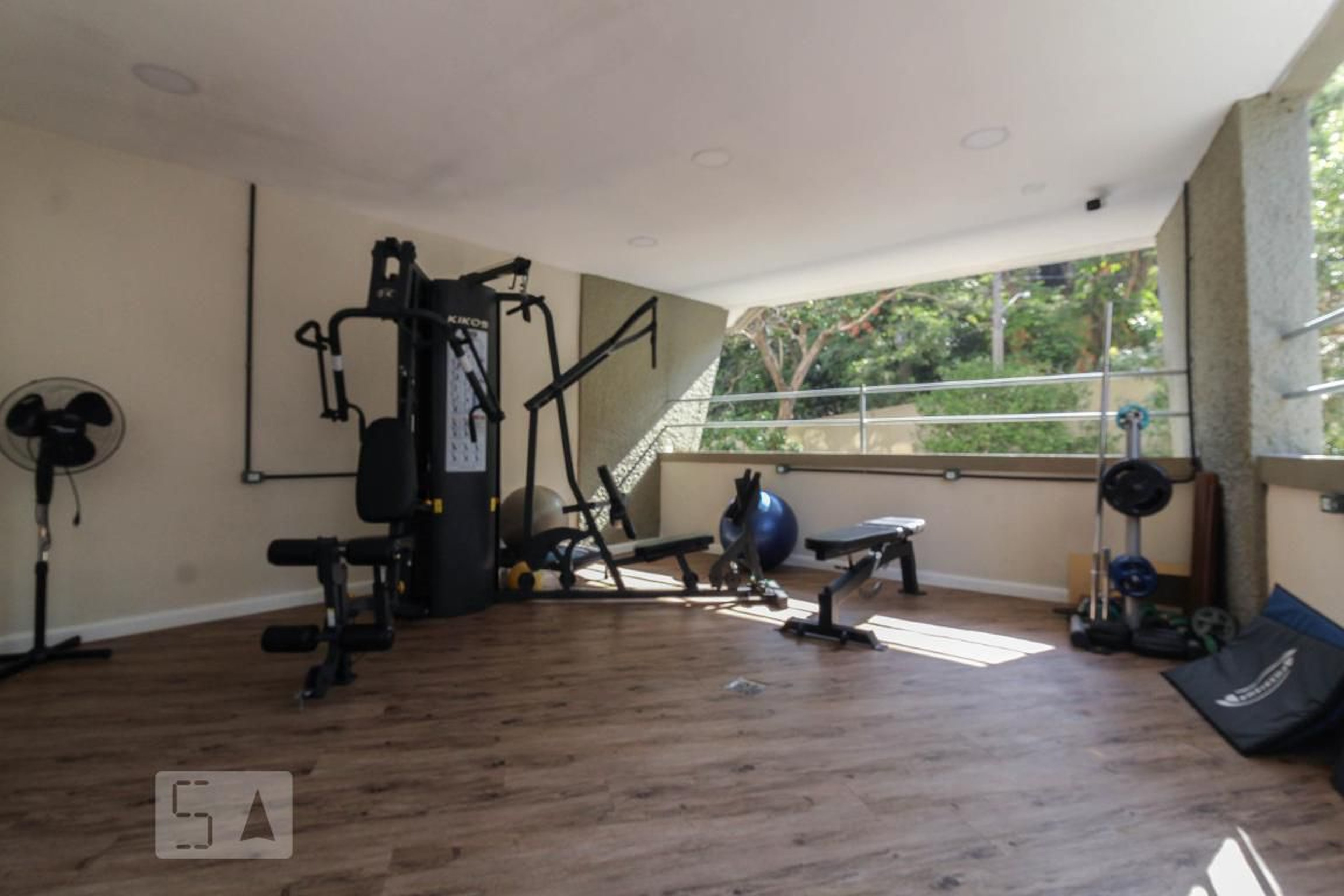 Academia - Samambaia