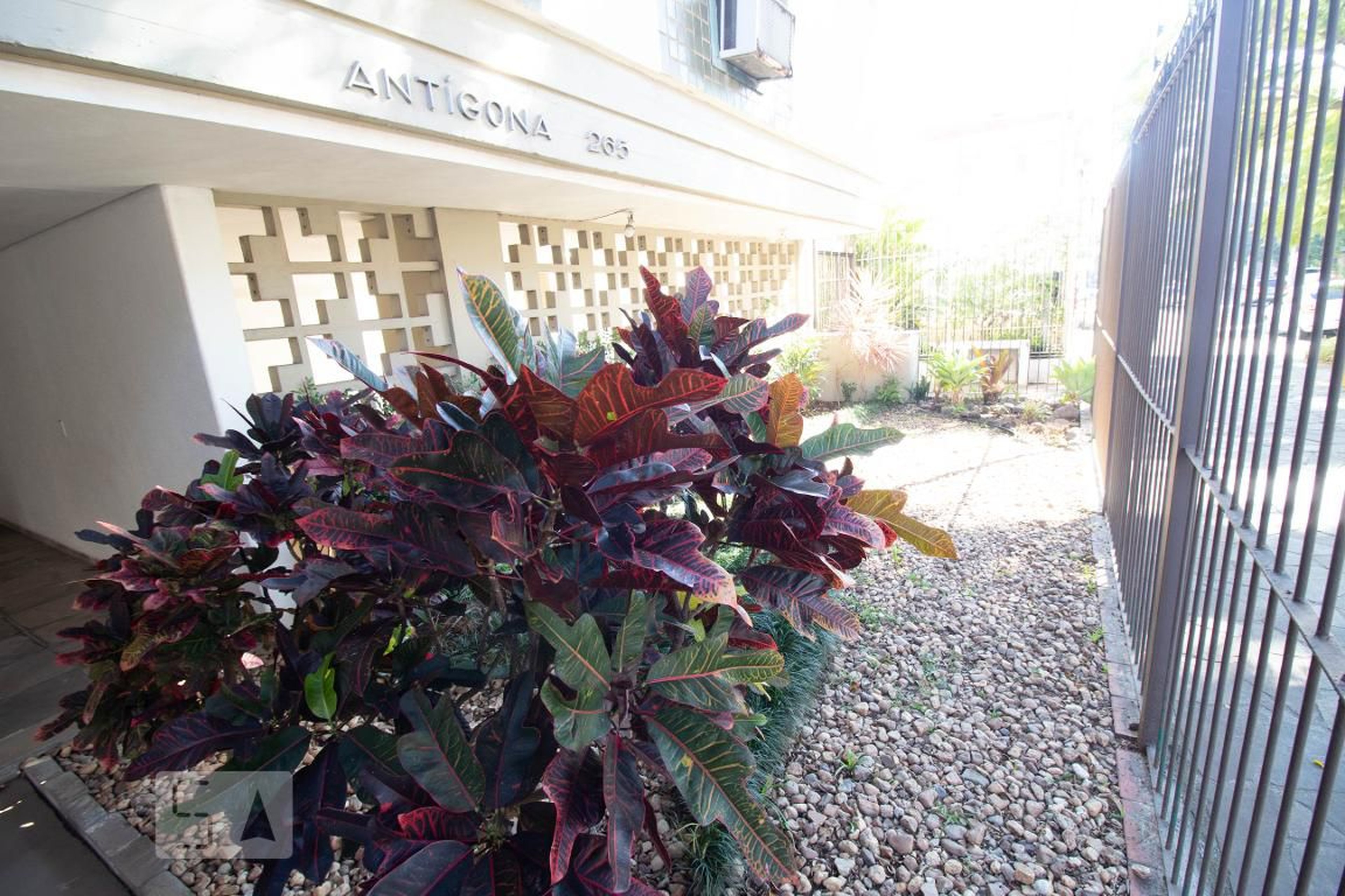 Área comum - Antígona