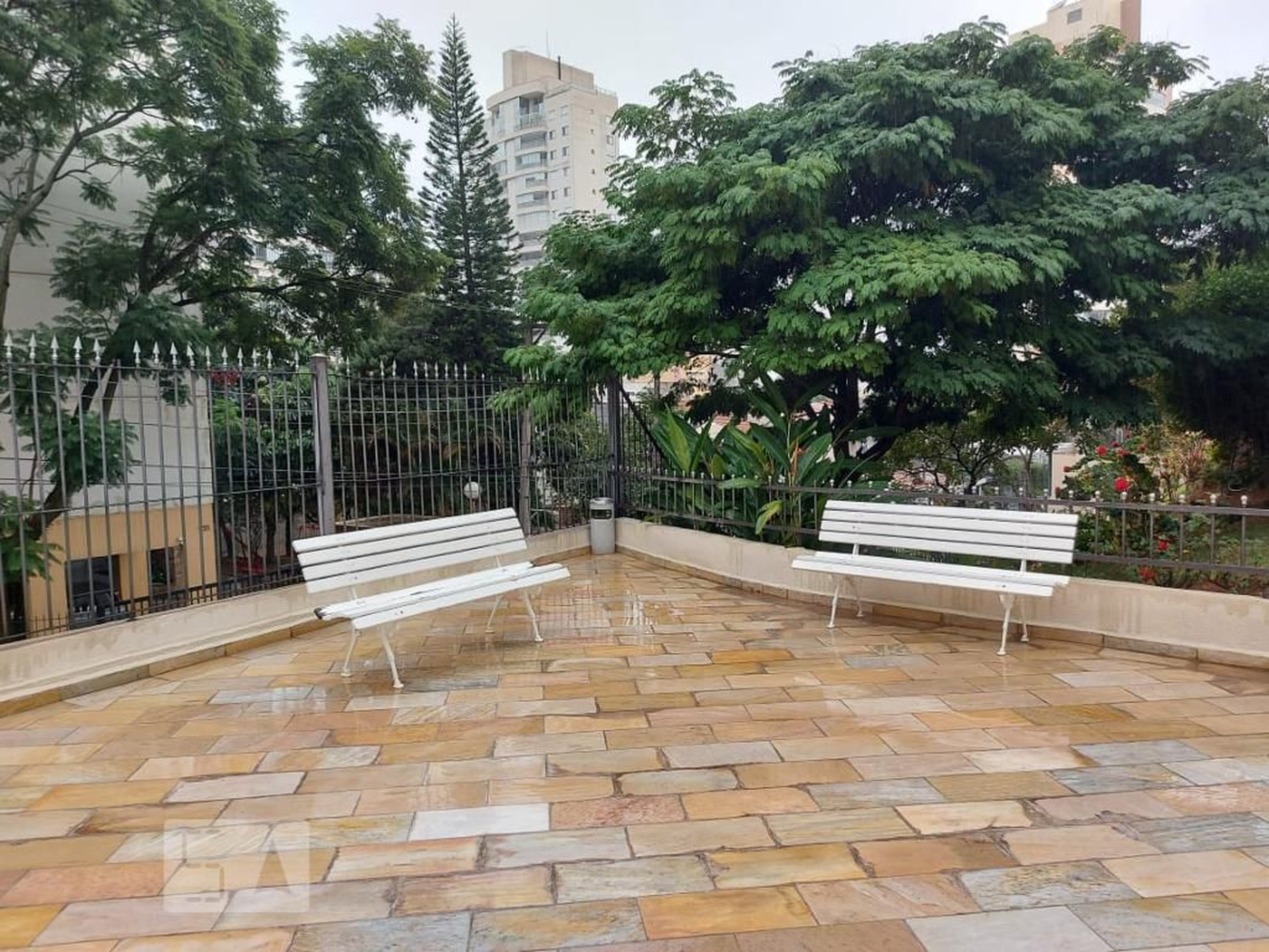 Area Comum - Santa Cruz